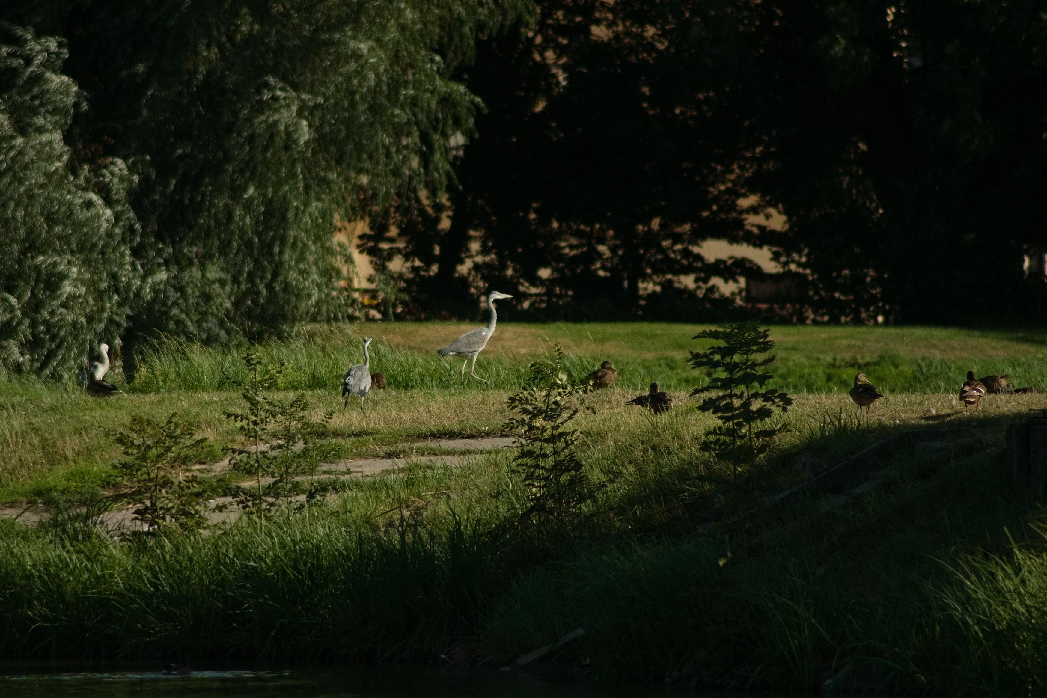 Český rybářský svaz, místní organizace Pardubice foto 6