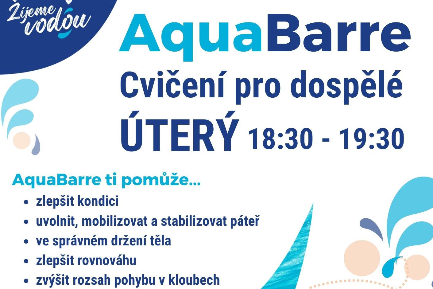 Cvičení ve vodě pro dospělé - AquaBarre