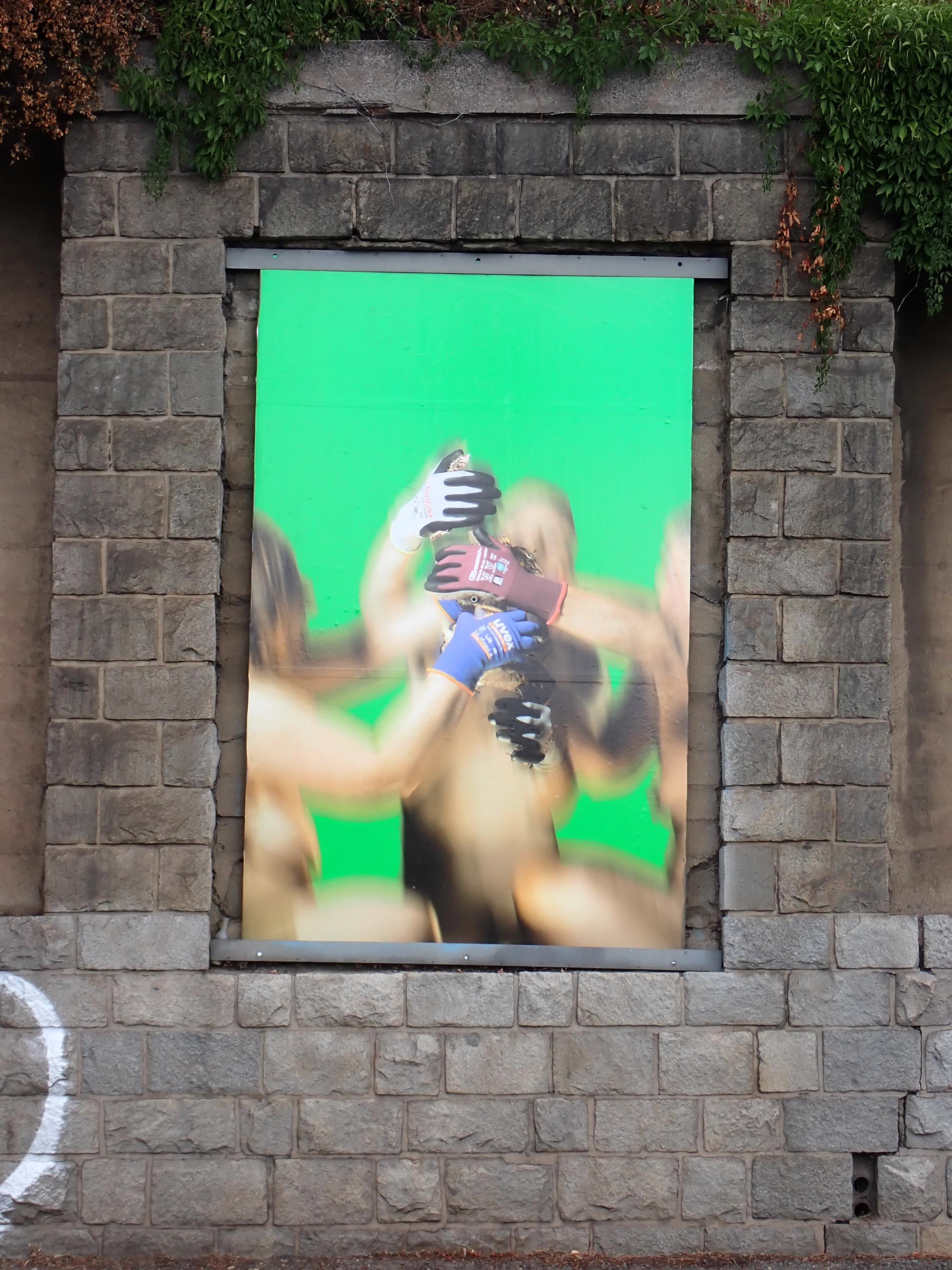 Artwall Gallery foto 3