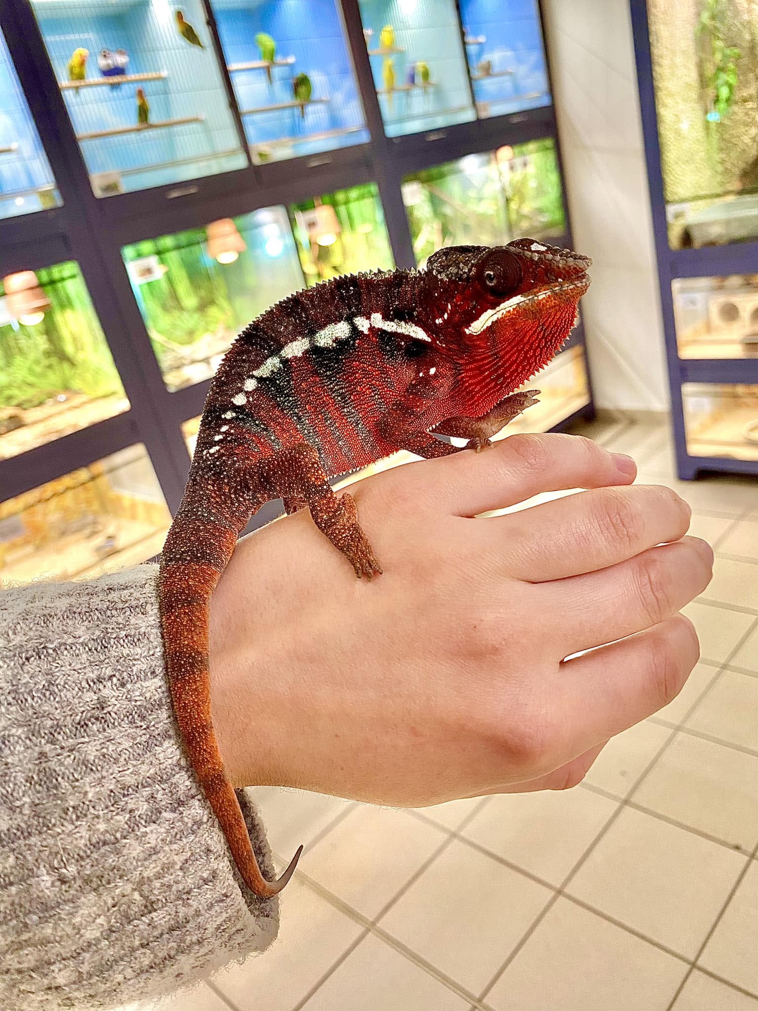 AQUAZOO foto 3