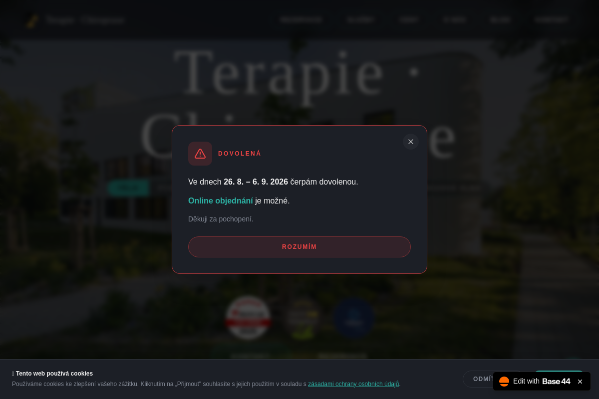 terapie-chiropraxe.cz