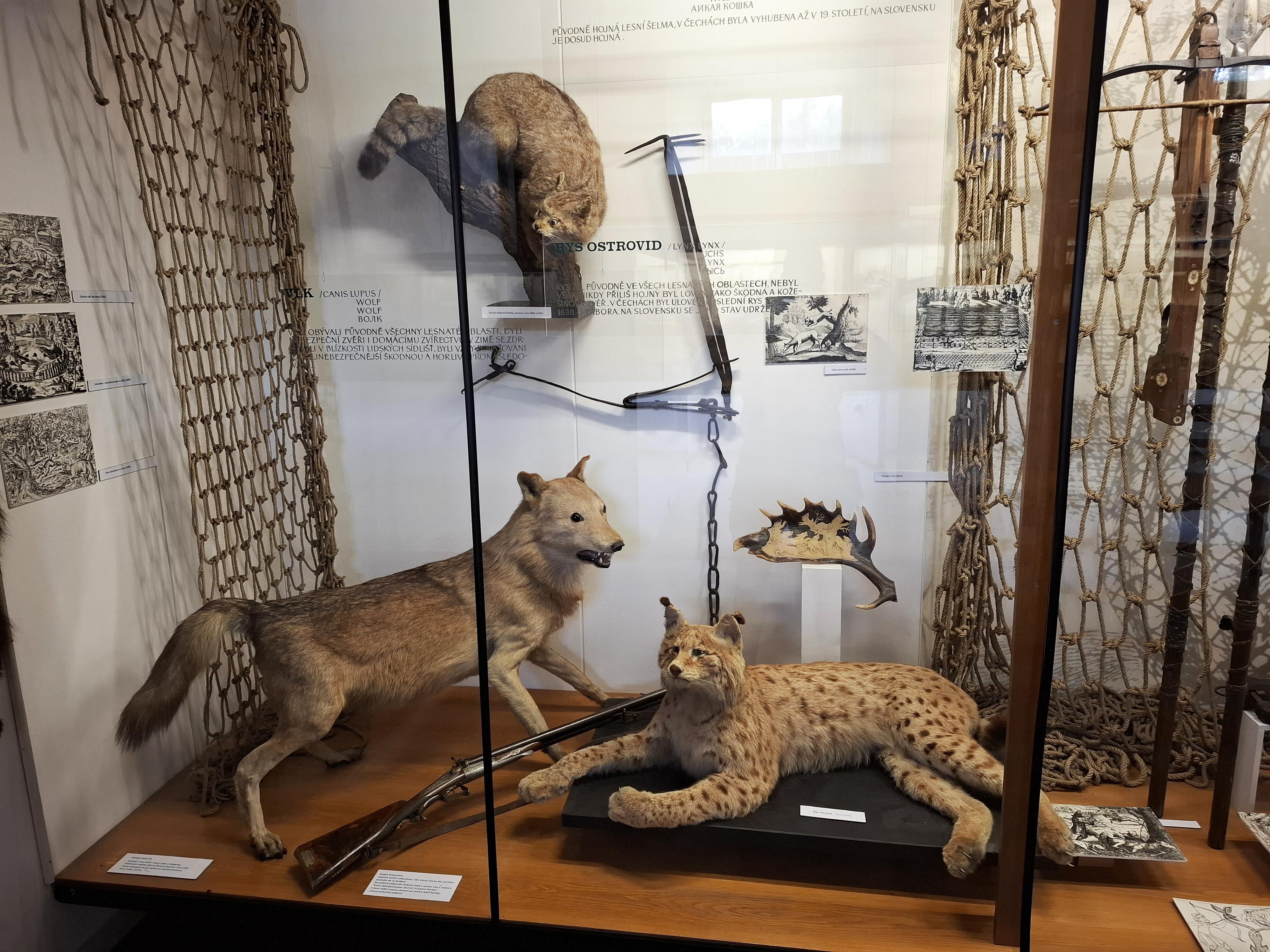 NZM Ohrada - Muzeum lesnictví, myslivosti a rybářství foto 3
