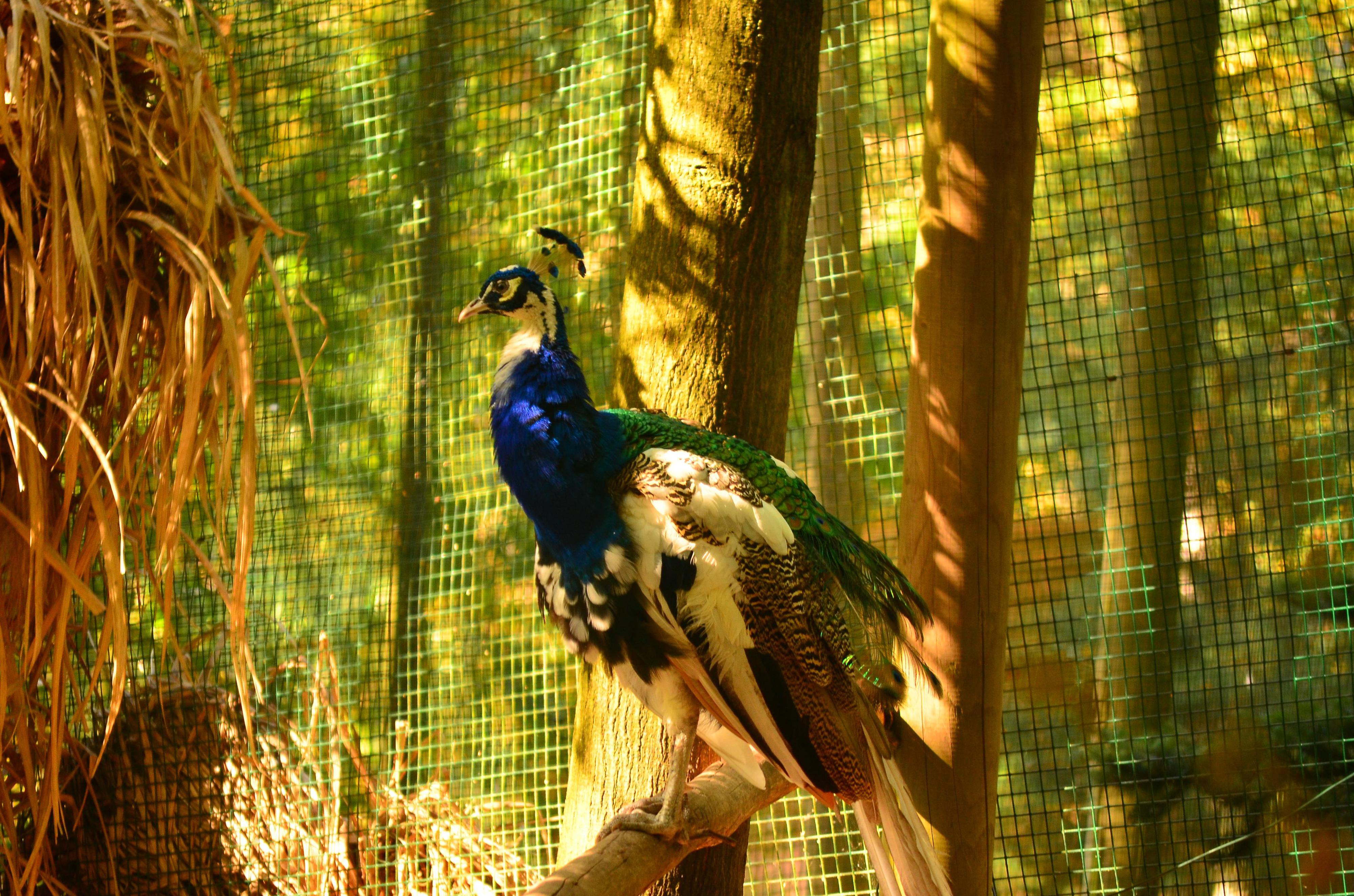 Zoo Děčín foto 6