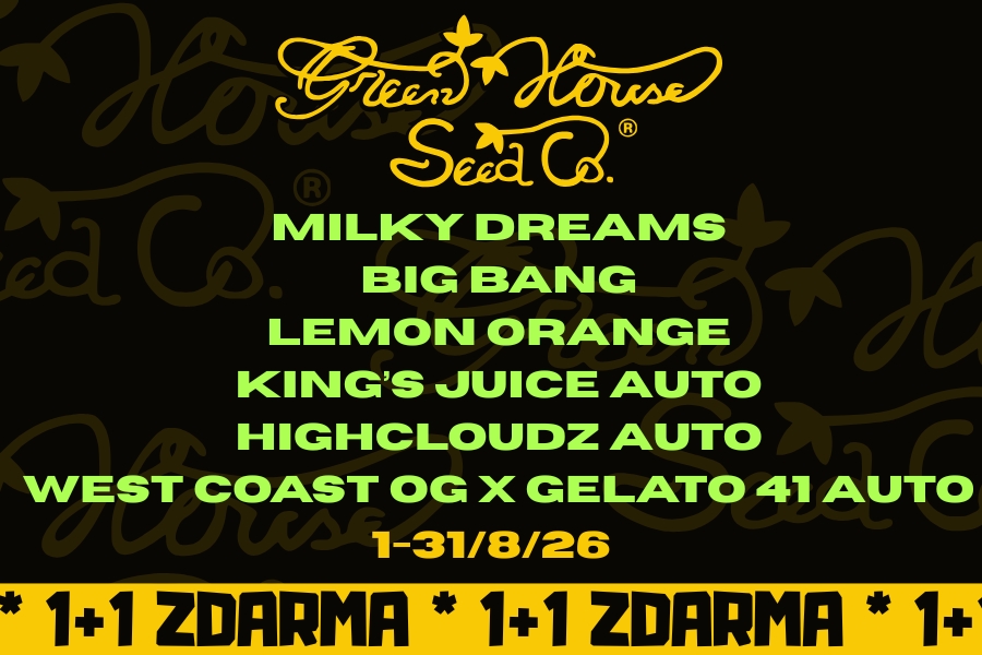1+1 ZDARMA