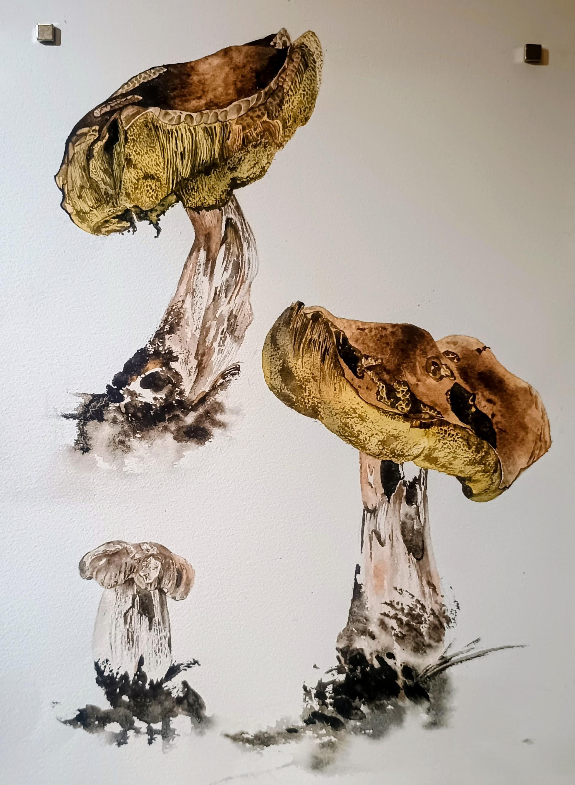 Galerie Josefa Lieslera foto 2