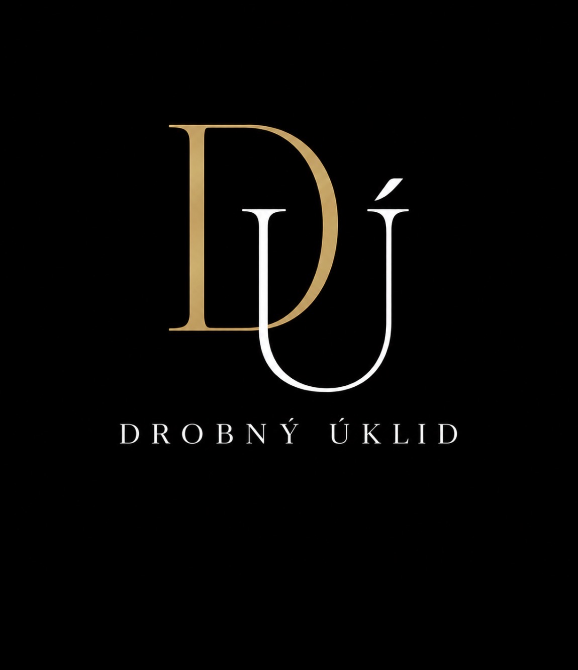 Drobný úklid foto 3