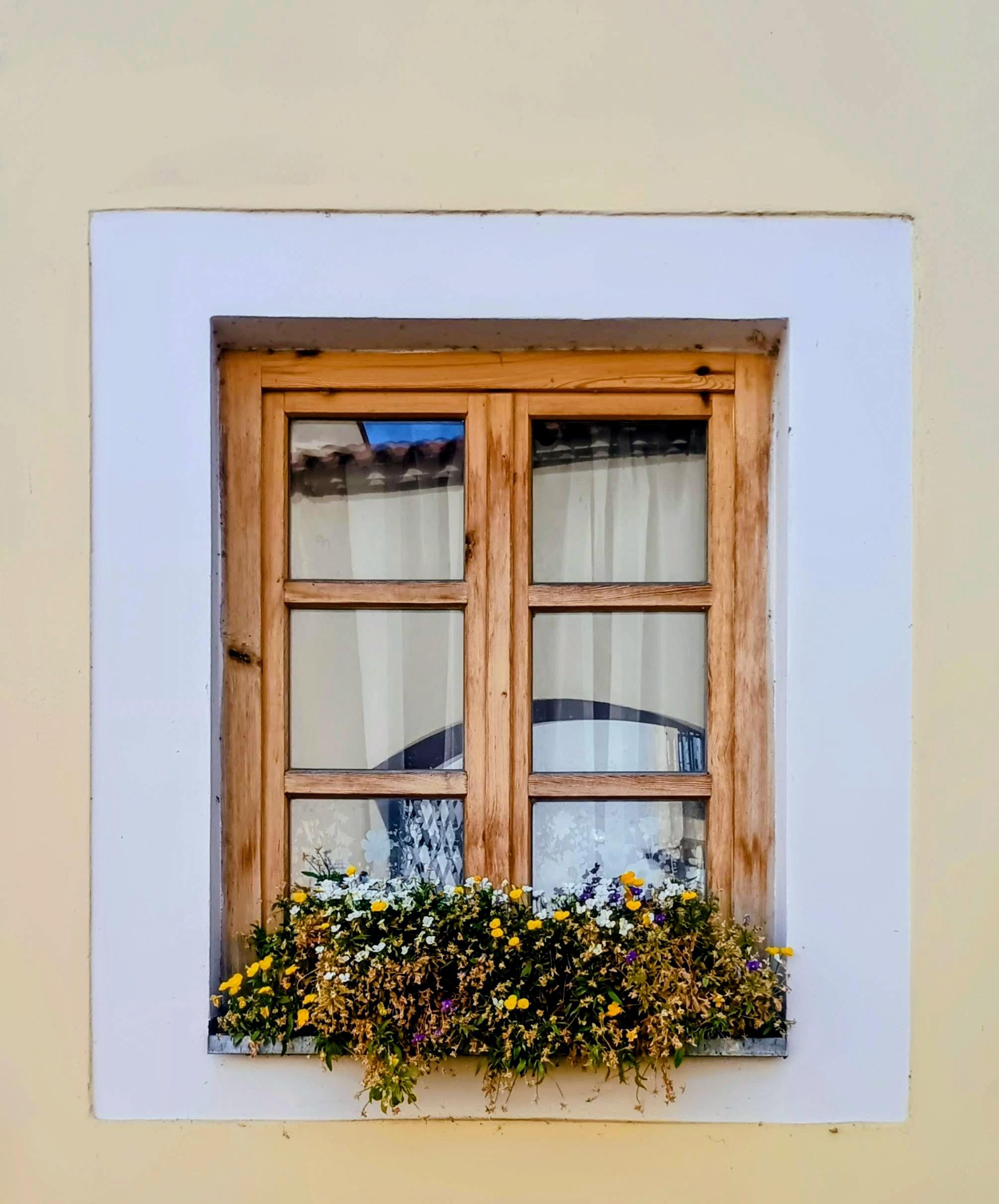 Ubytování Žatecká brána foto 2
