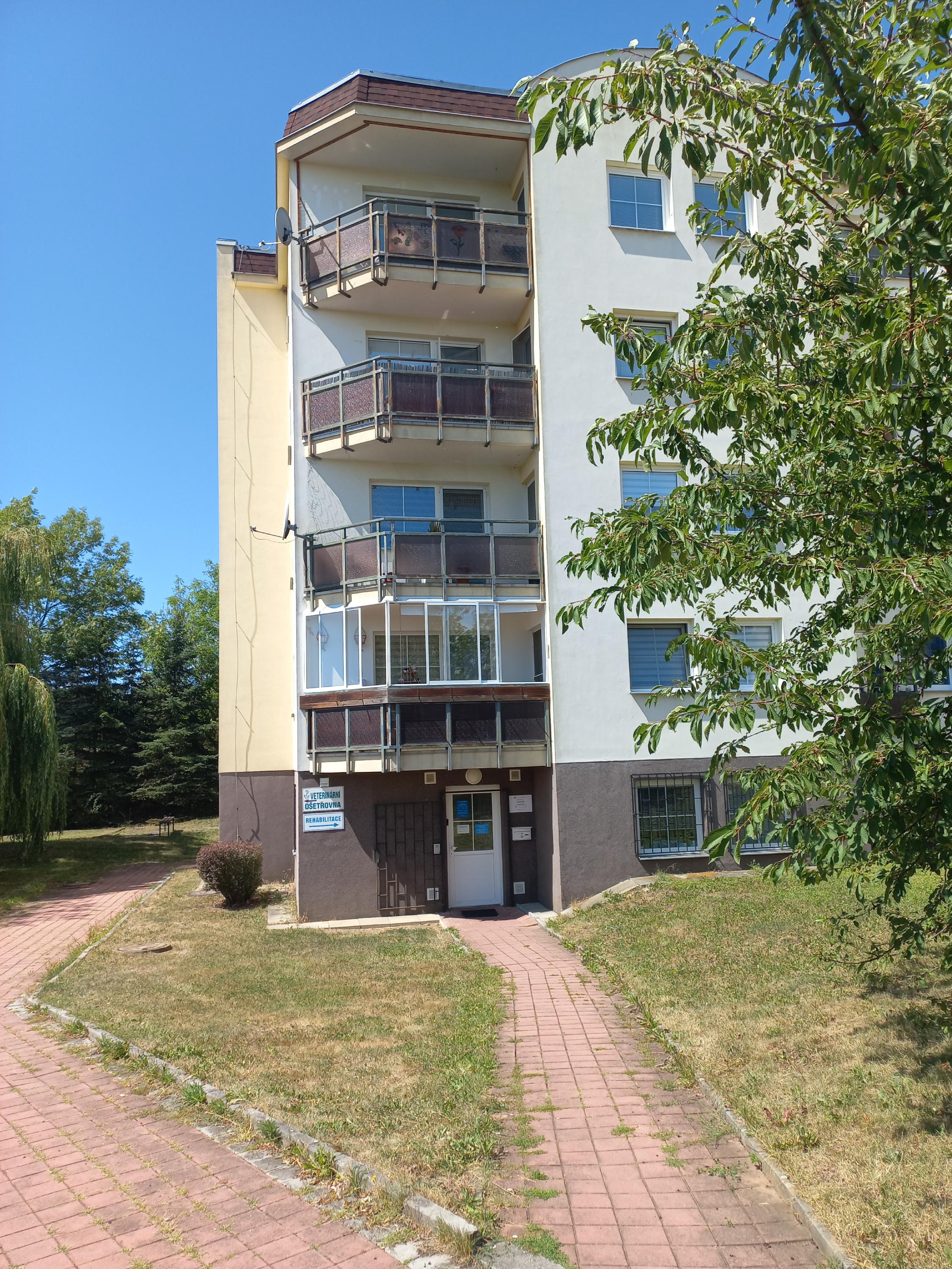 OK REHABILITACE foto 2