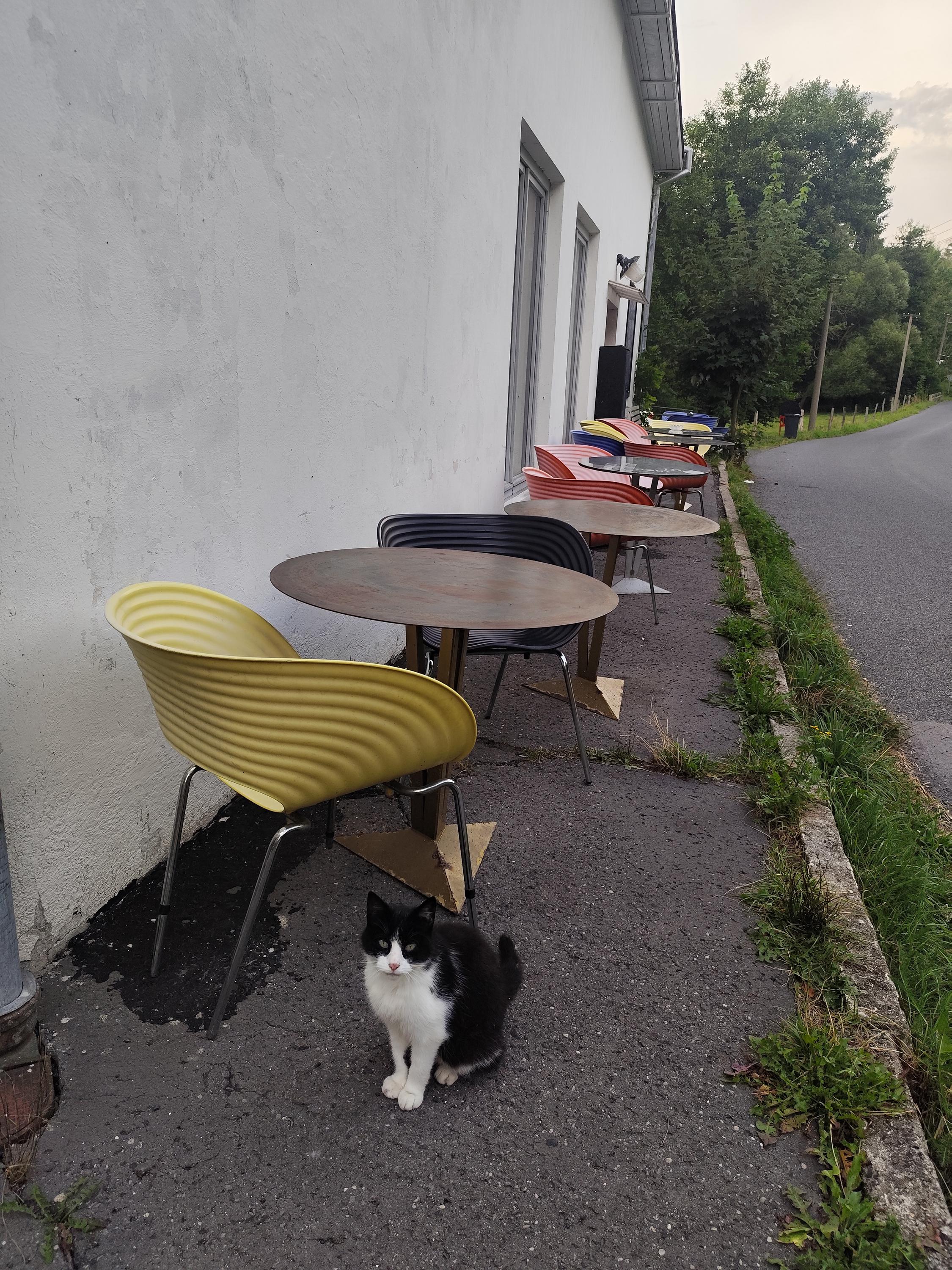 Kavárna Perla foto 6