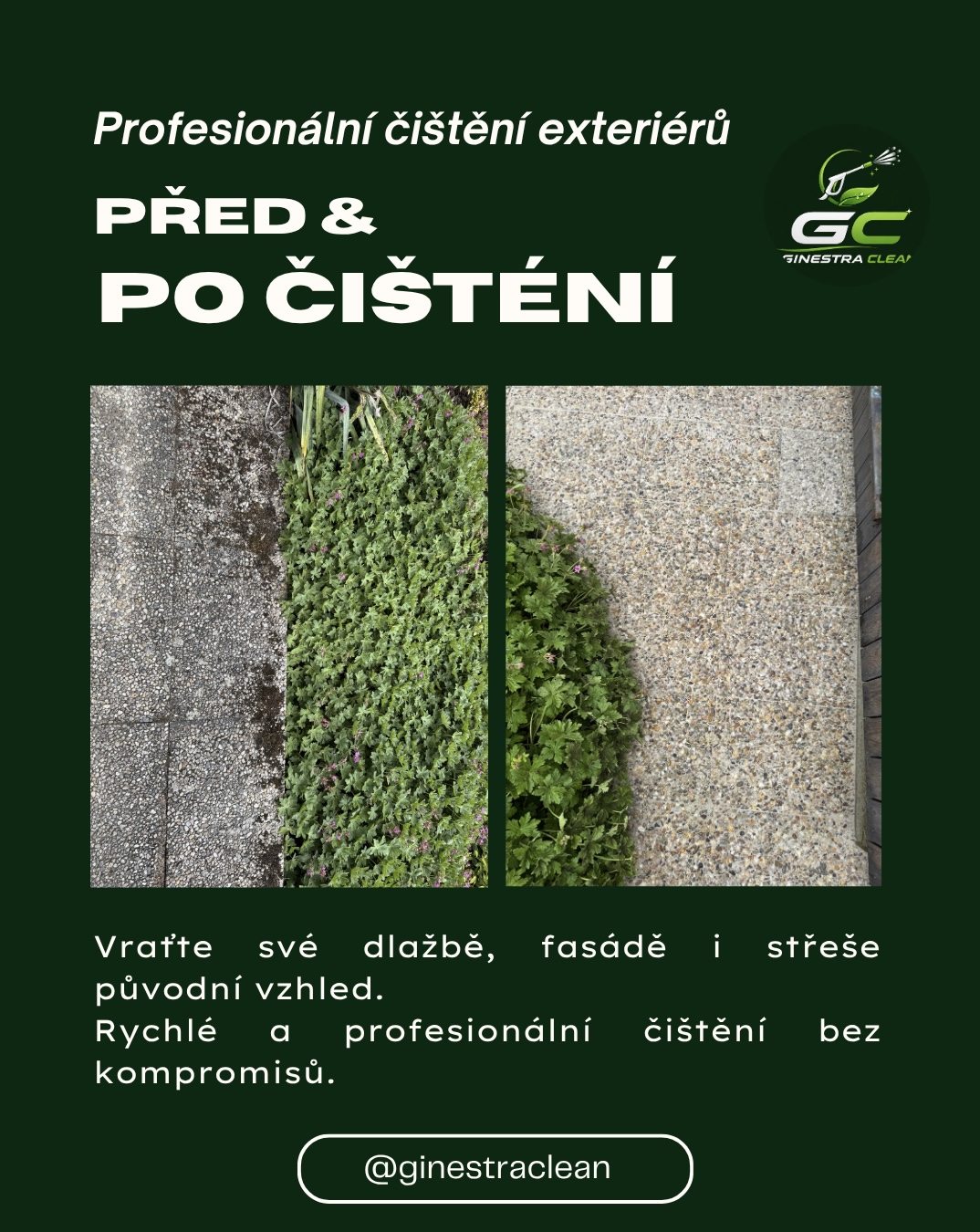 GinestraClean foto 6