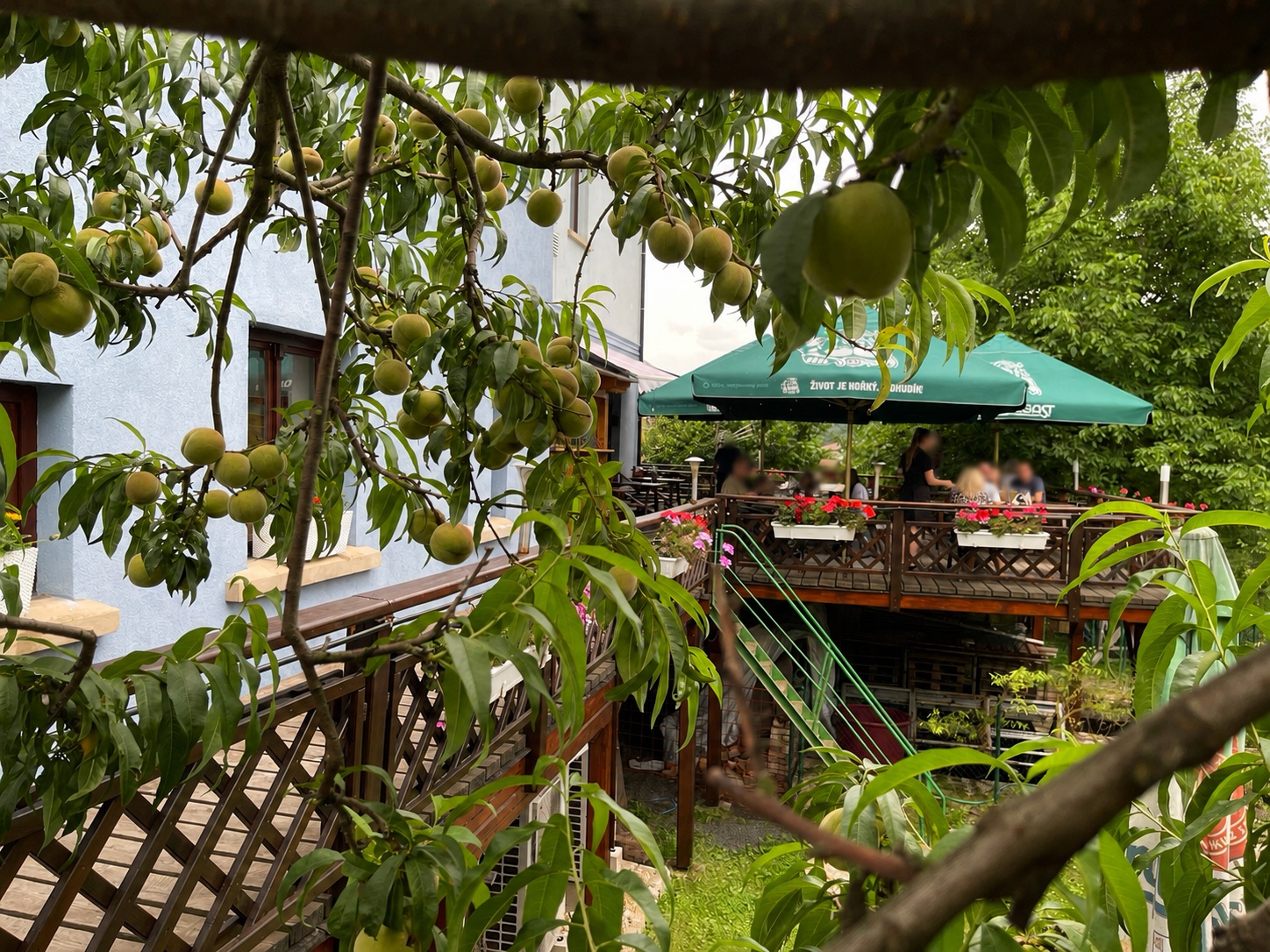 Restaurace Krakonoš