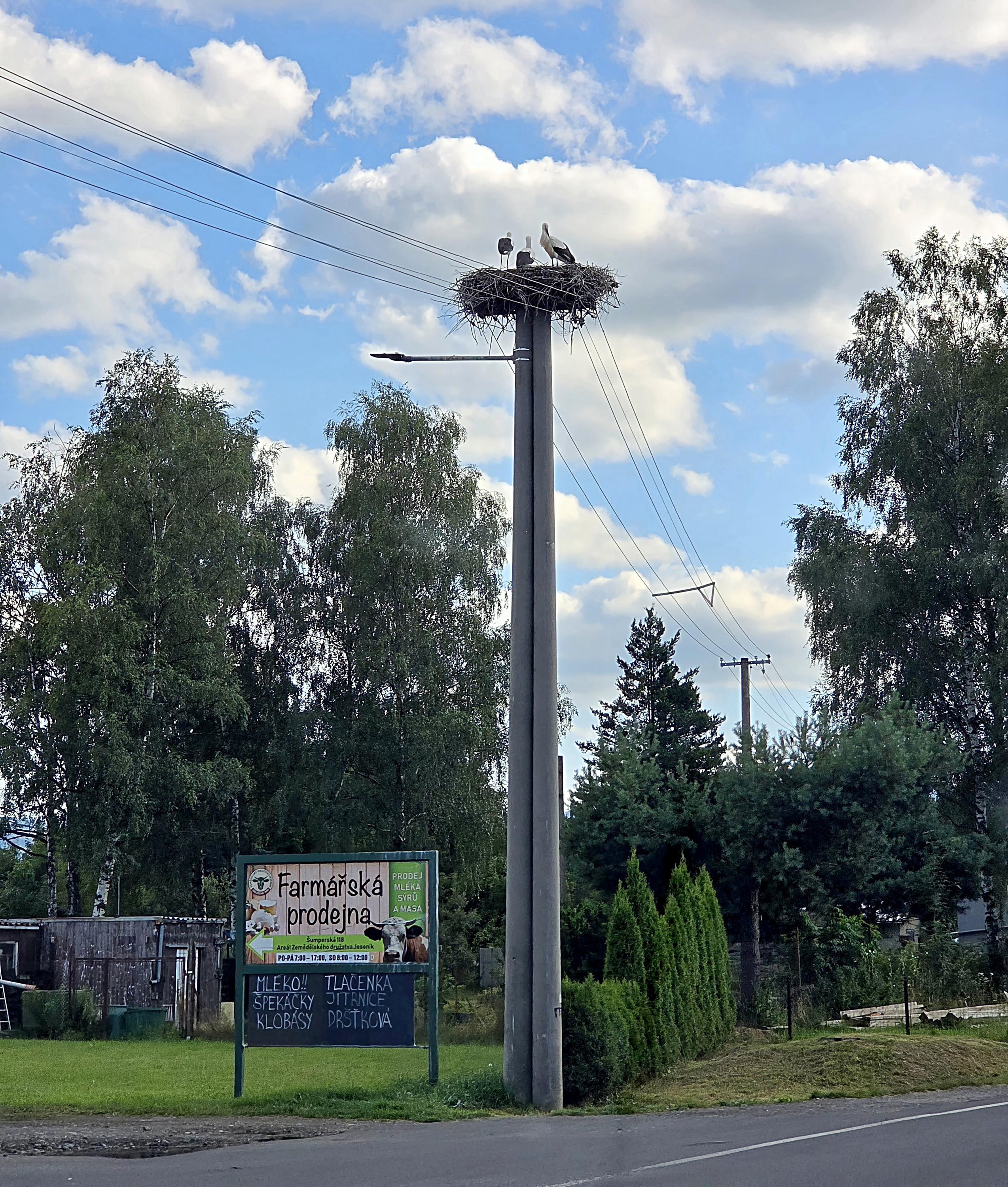 Zemědělské družstvo Jeseník - Farmářská prodejna foto 2