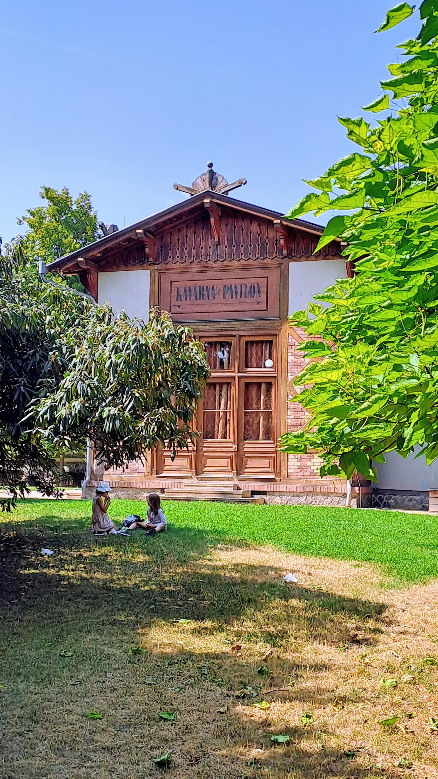 Kavárna Pavilon Grébovka foto 4