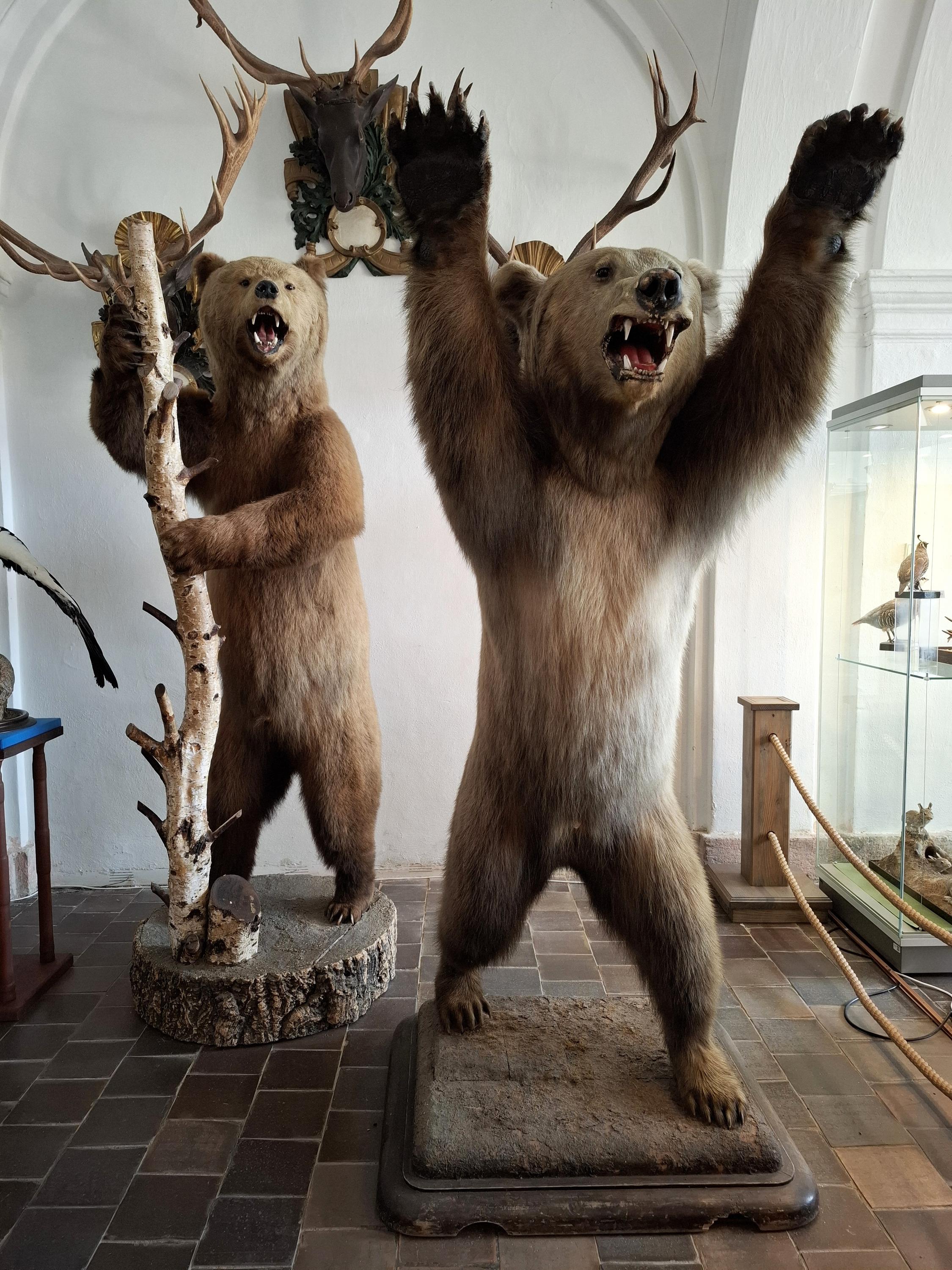 NZM Ohrada - Muzeum lesnictví, myslivosti a rybářství foto 2