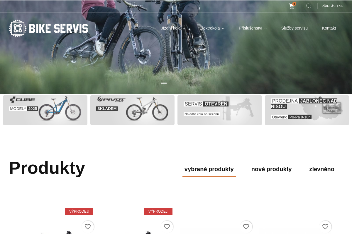 BIKESERVIS