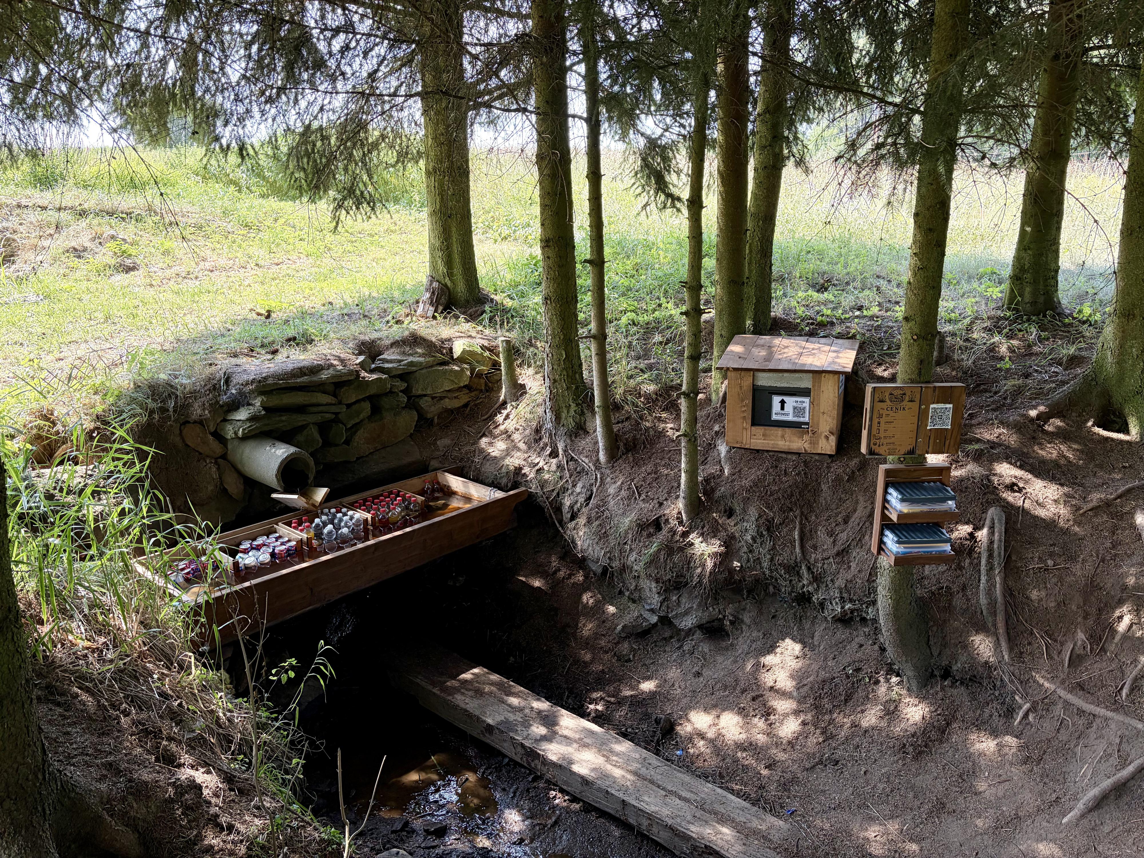 Lesní bar Havlíčkův Brod foto 4