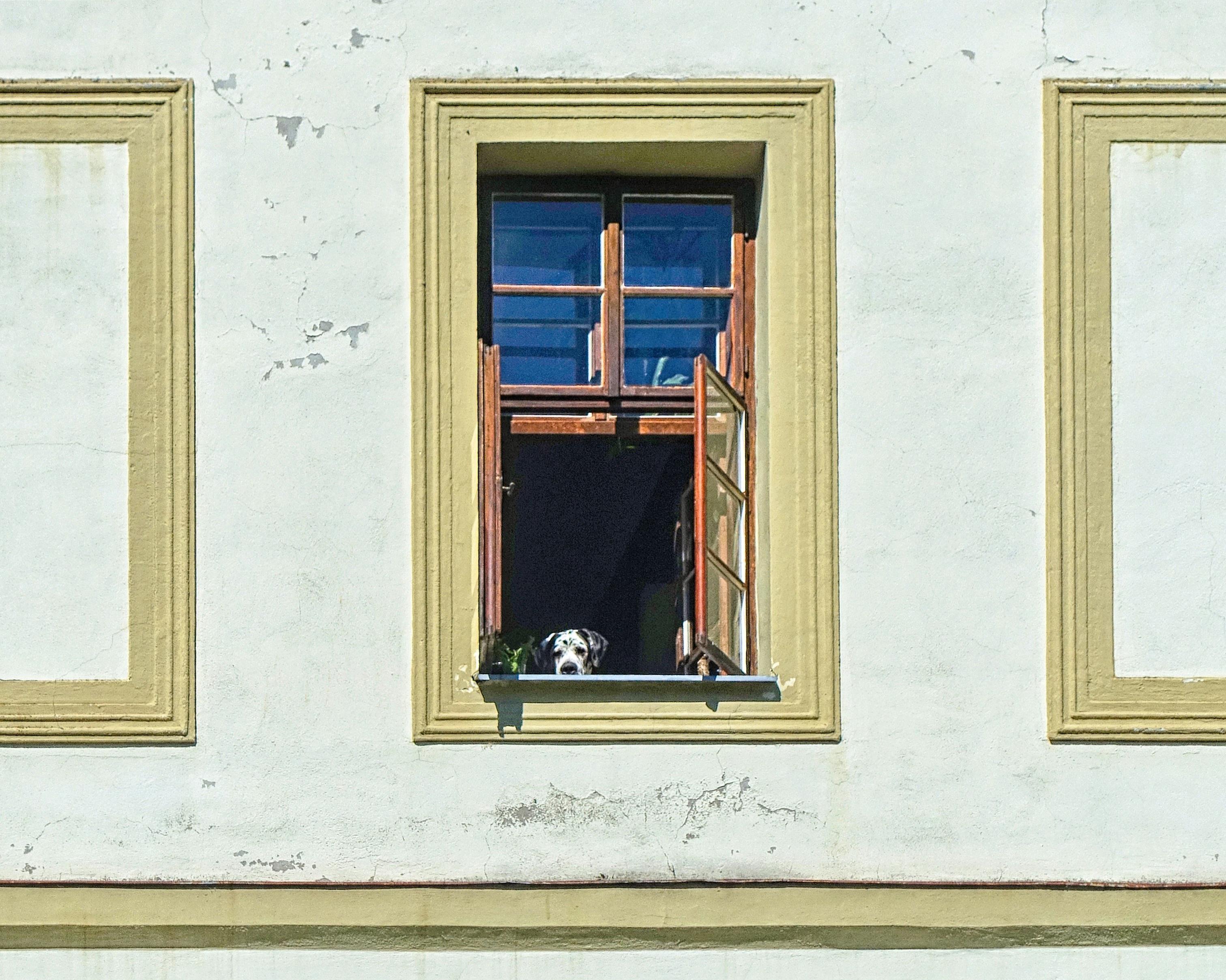 Ubytování Dobrá Voda 2 foto 1