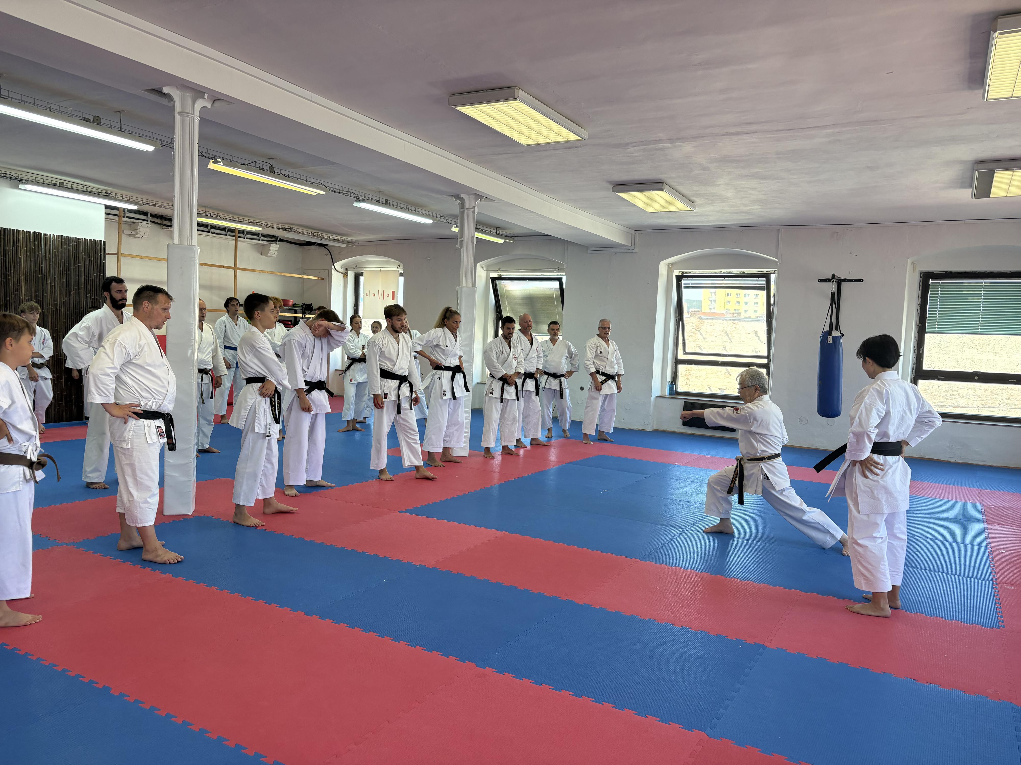Akademie karate Brno foto 5