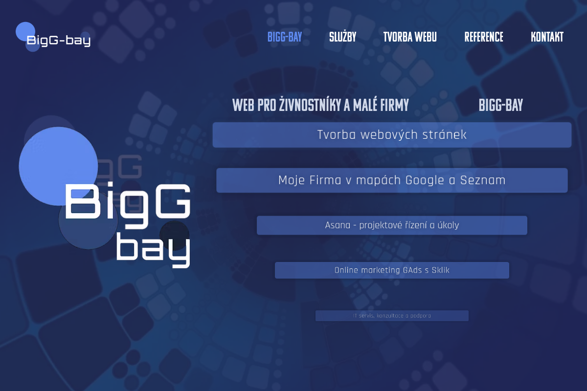 Jiří Vocílka - BigG-bay
