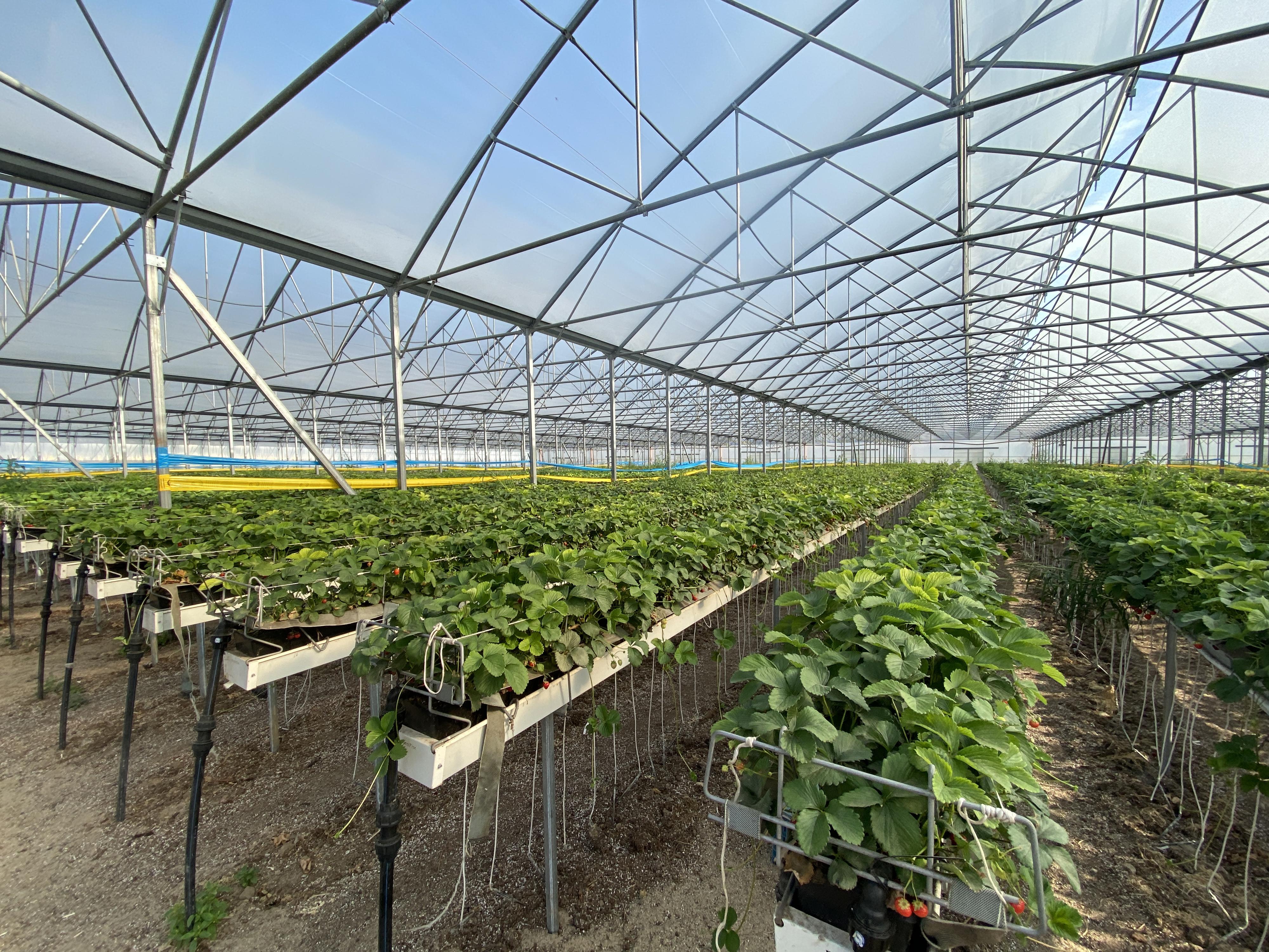Rodinná farma Hrdlička, s.r.o. foto 5