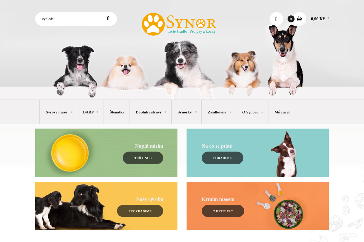 Synor.cz
