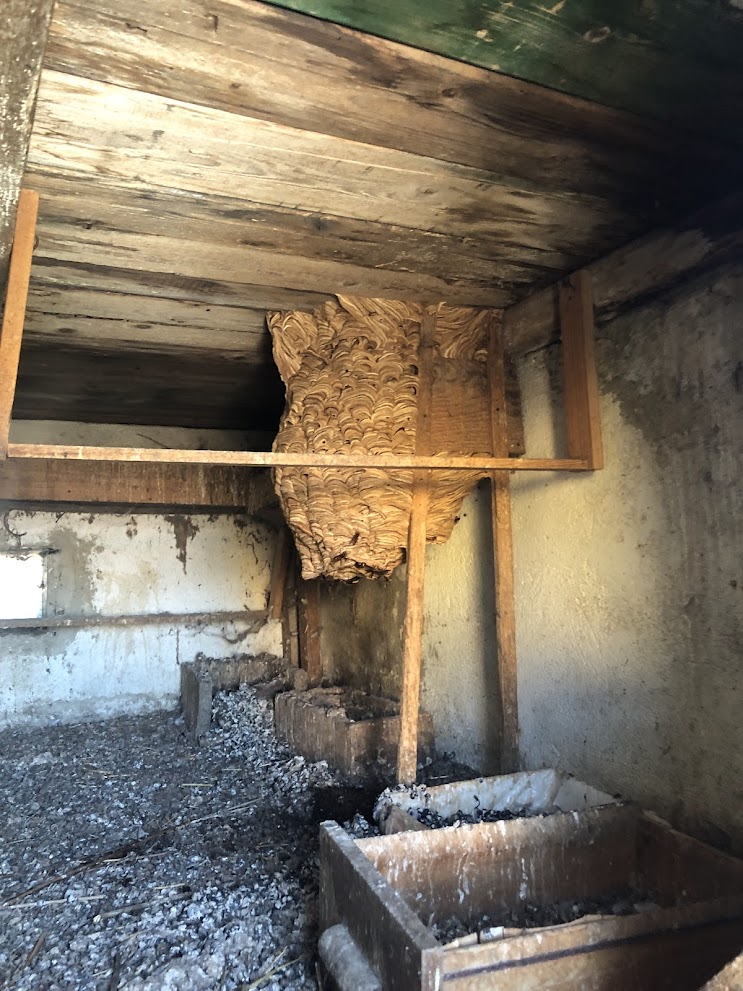 Deratizace NoPest / DDD služby Kučera foto 2
