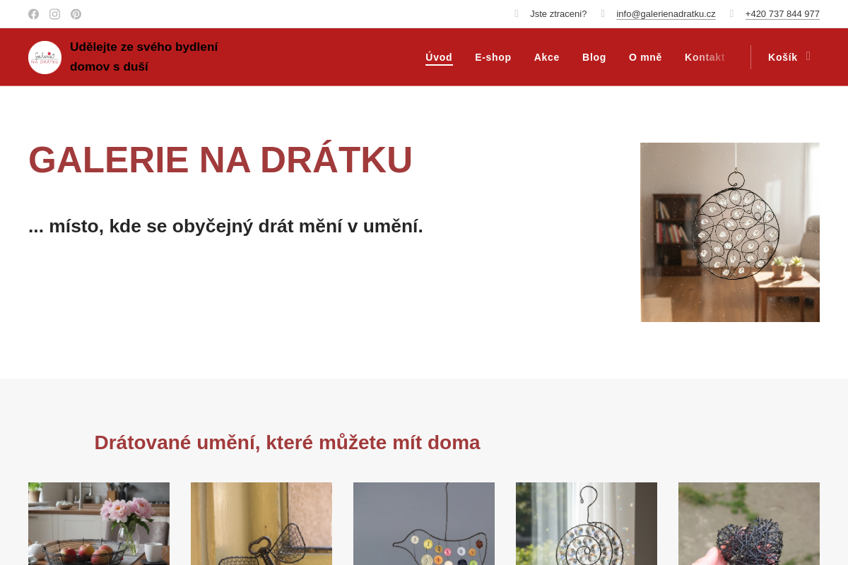 Drátované dekorace Galerie na drátku - Jana Gilchrist