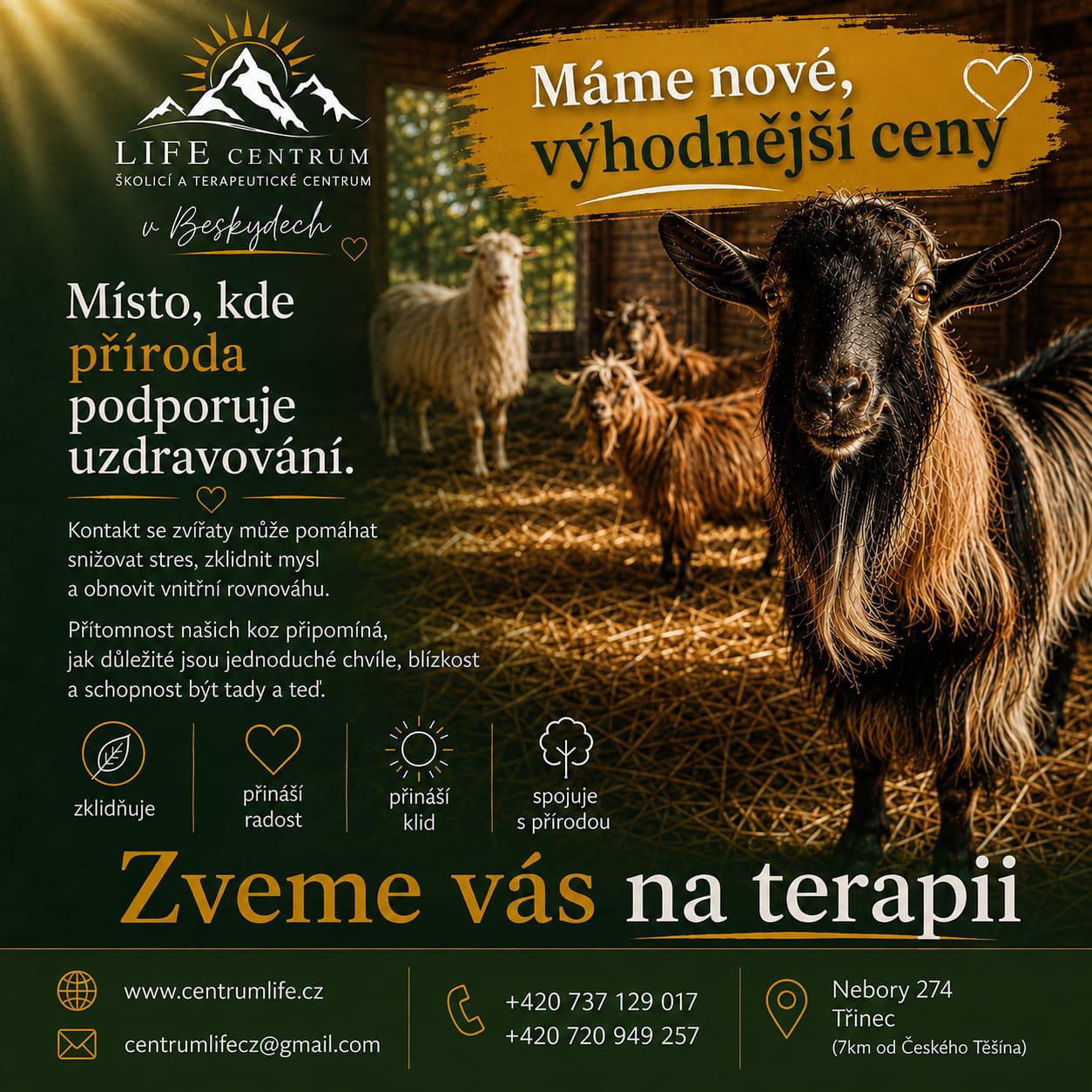 Školící a terapeutické centrum Life foto 5
