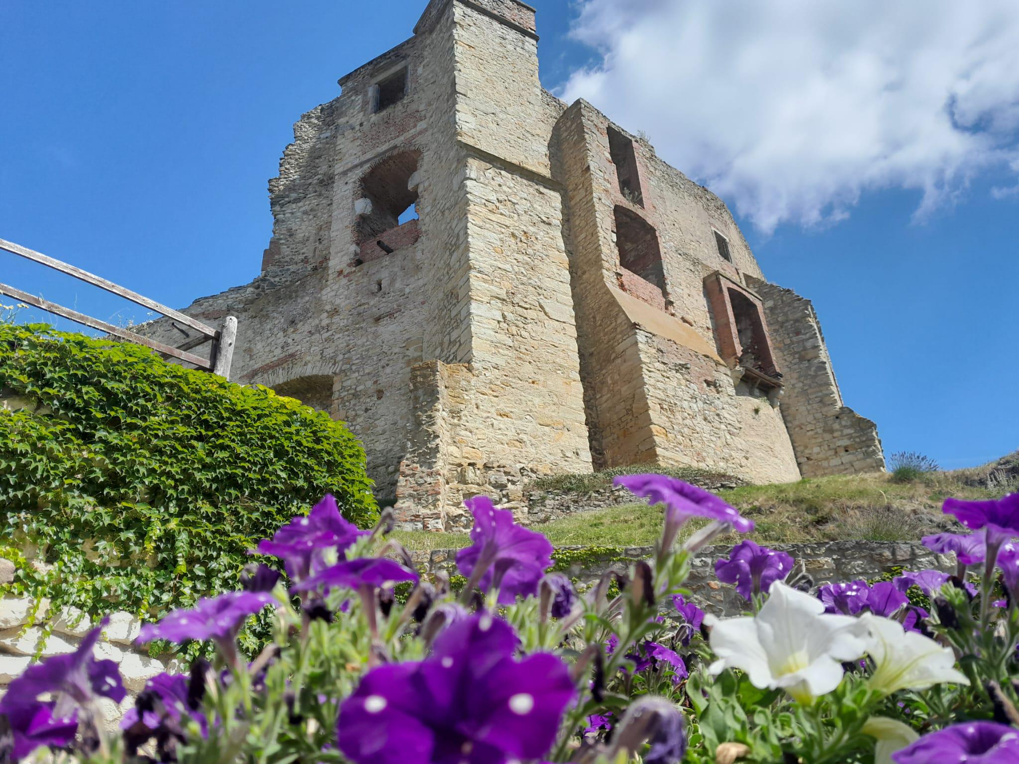 Hrad Boskovice foto 3