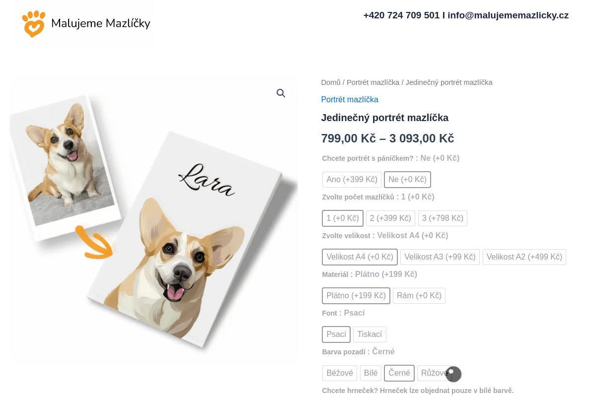 Malujememazlicky.cz