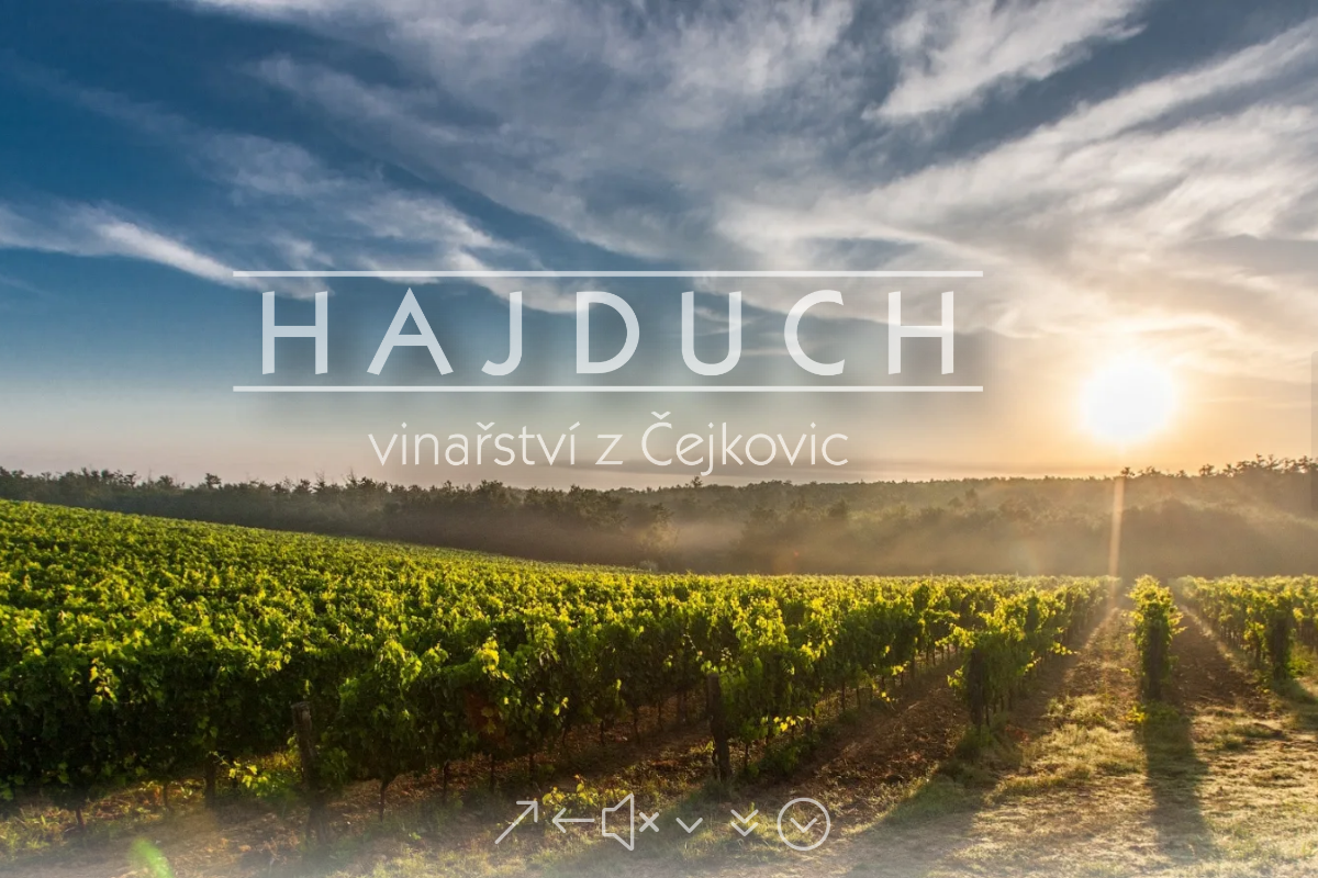 Hajduch vinařství z Čejkovic