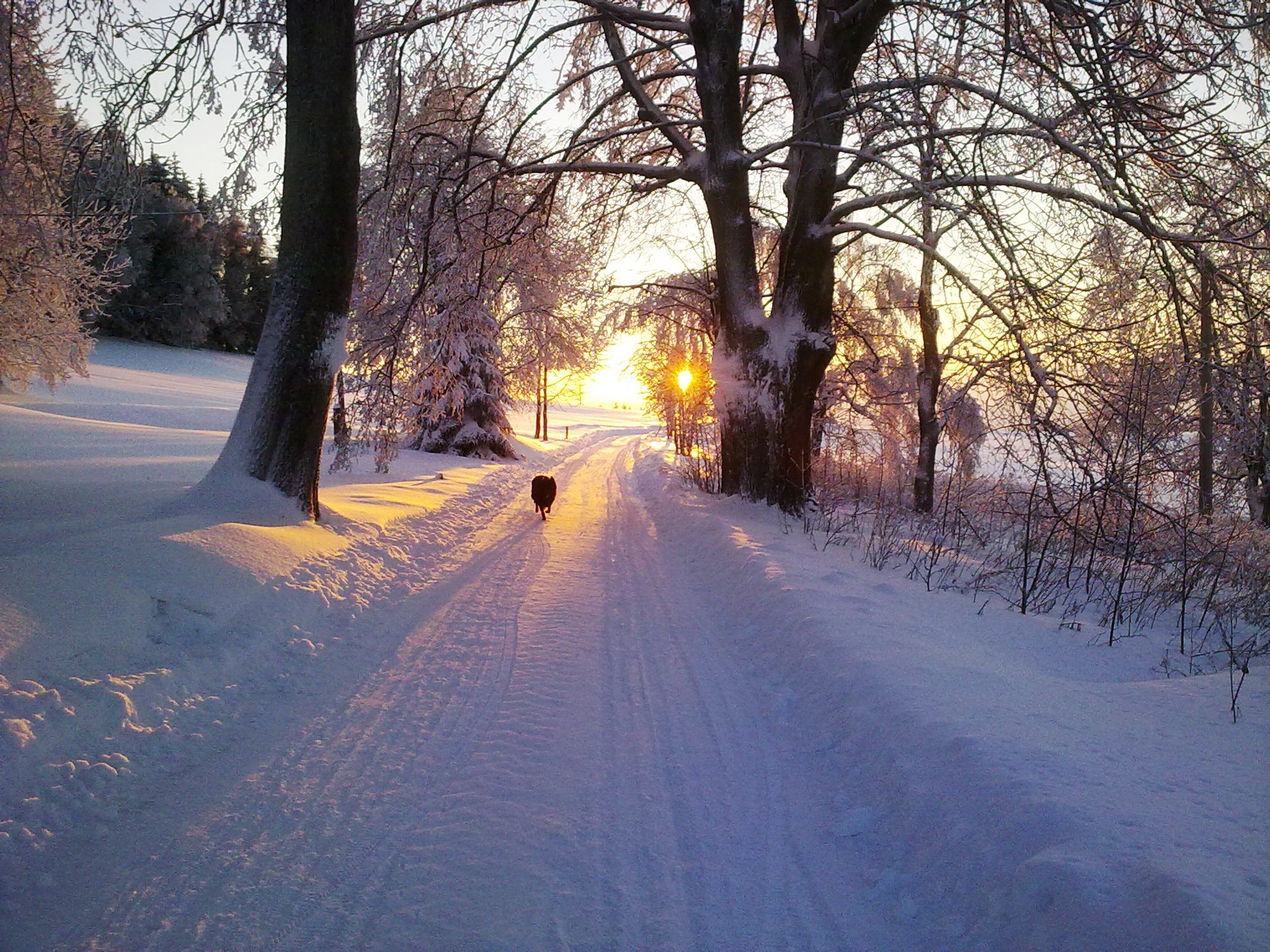 Horská chata RADOST foto 5