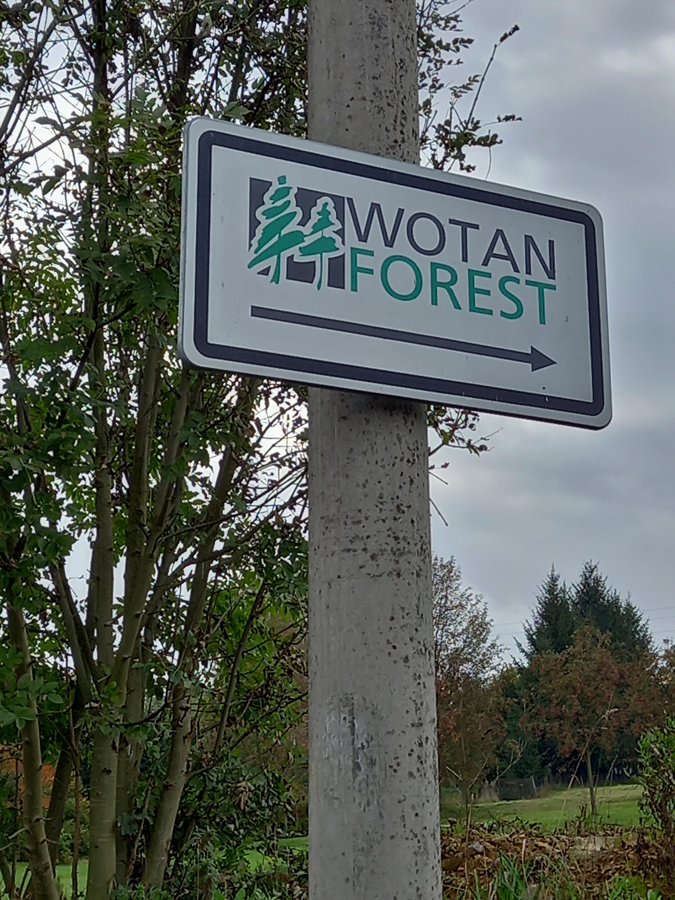 Wotan Forest, a.s. foto 2