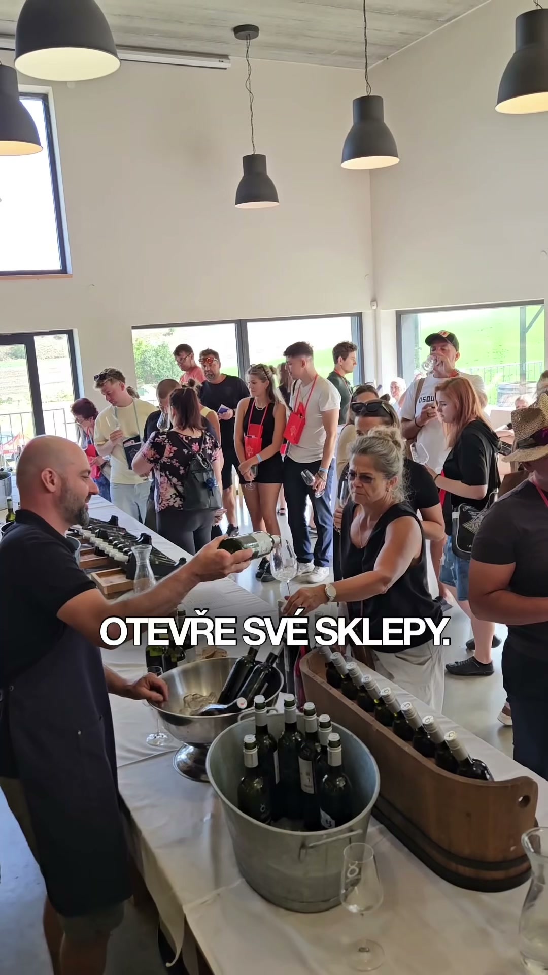 VínozČejkovic.cz foto 2 (náhled videa)