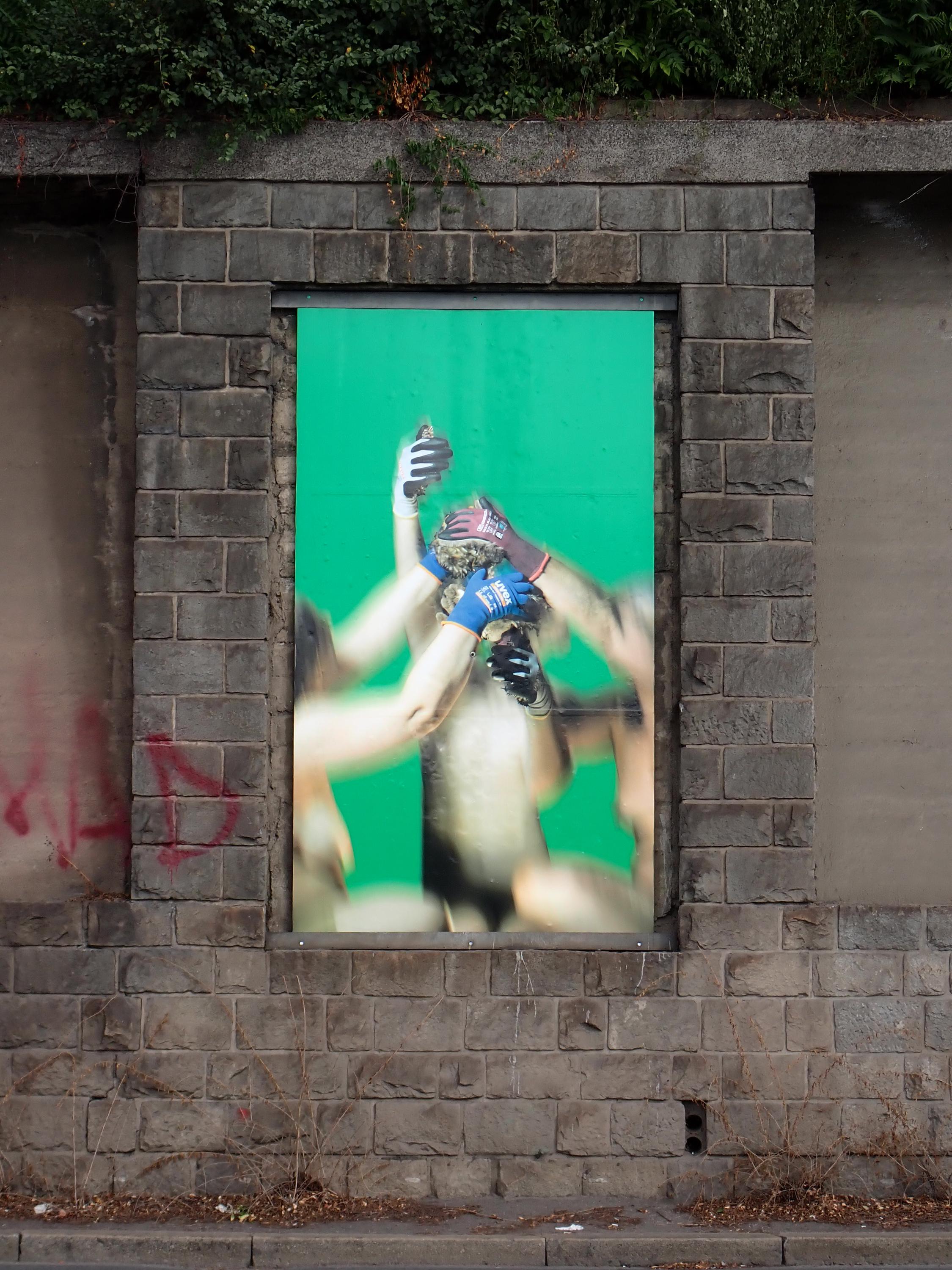 Artwall Gallery foto 6