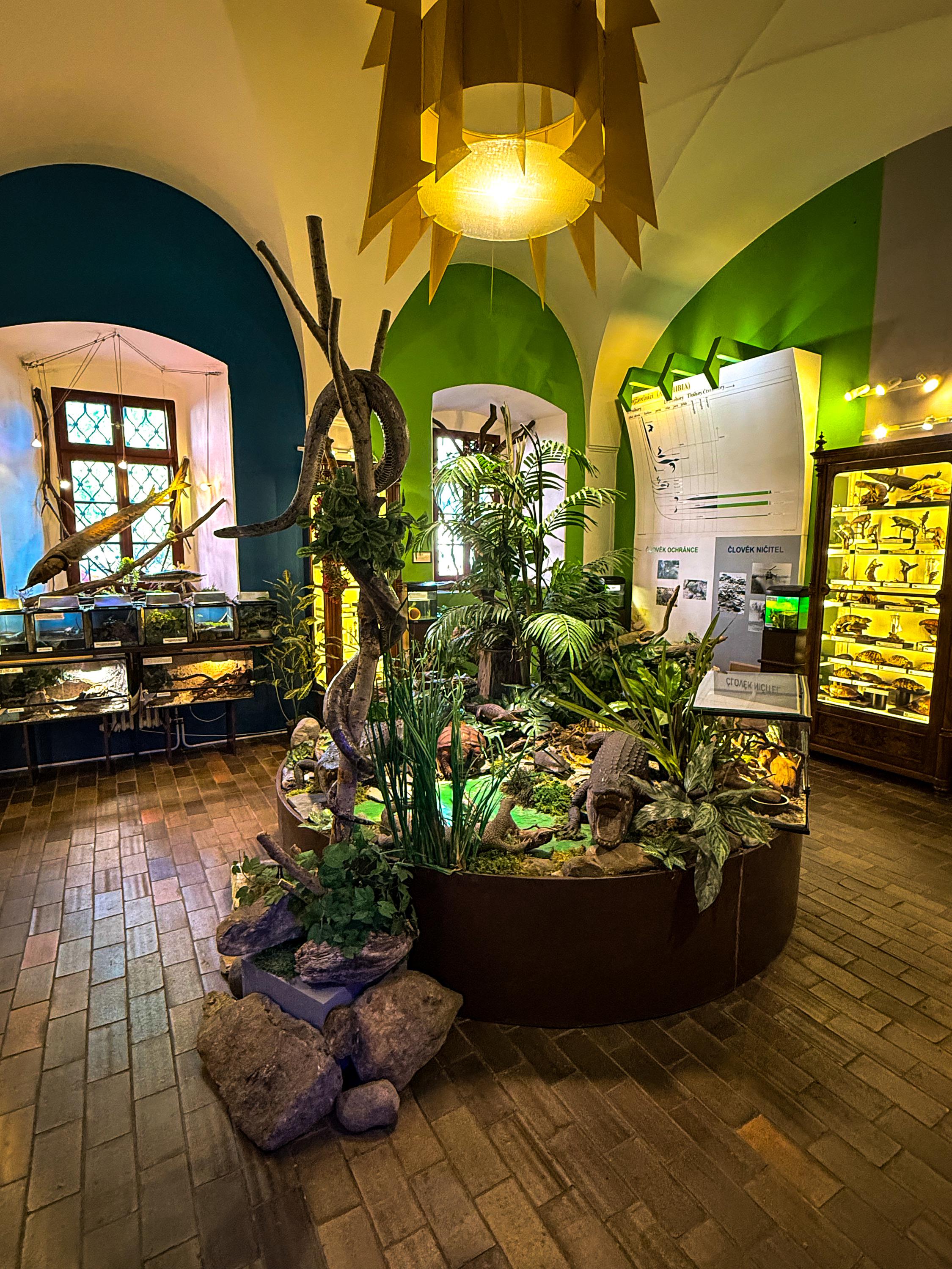 Vlastivědné muzeum a galerie v České Lípě foto 4