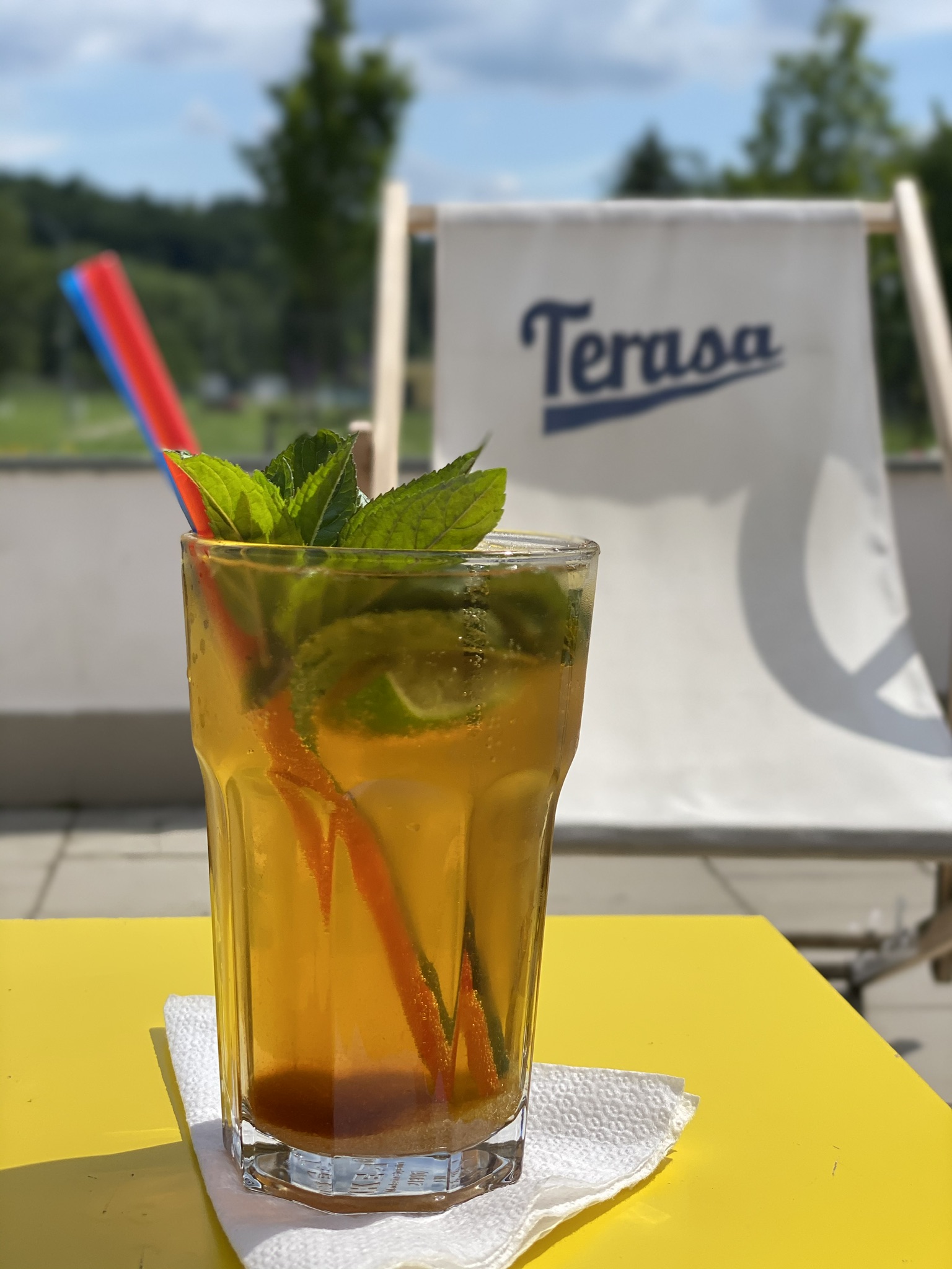 Terasa Bistro foto 1