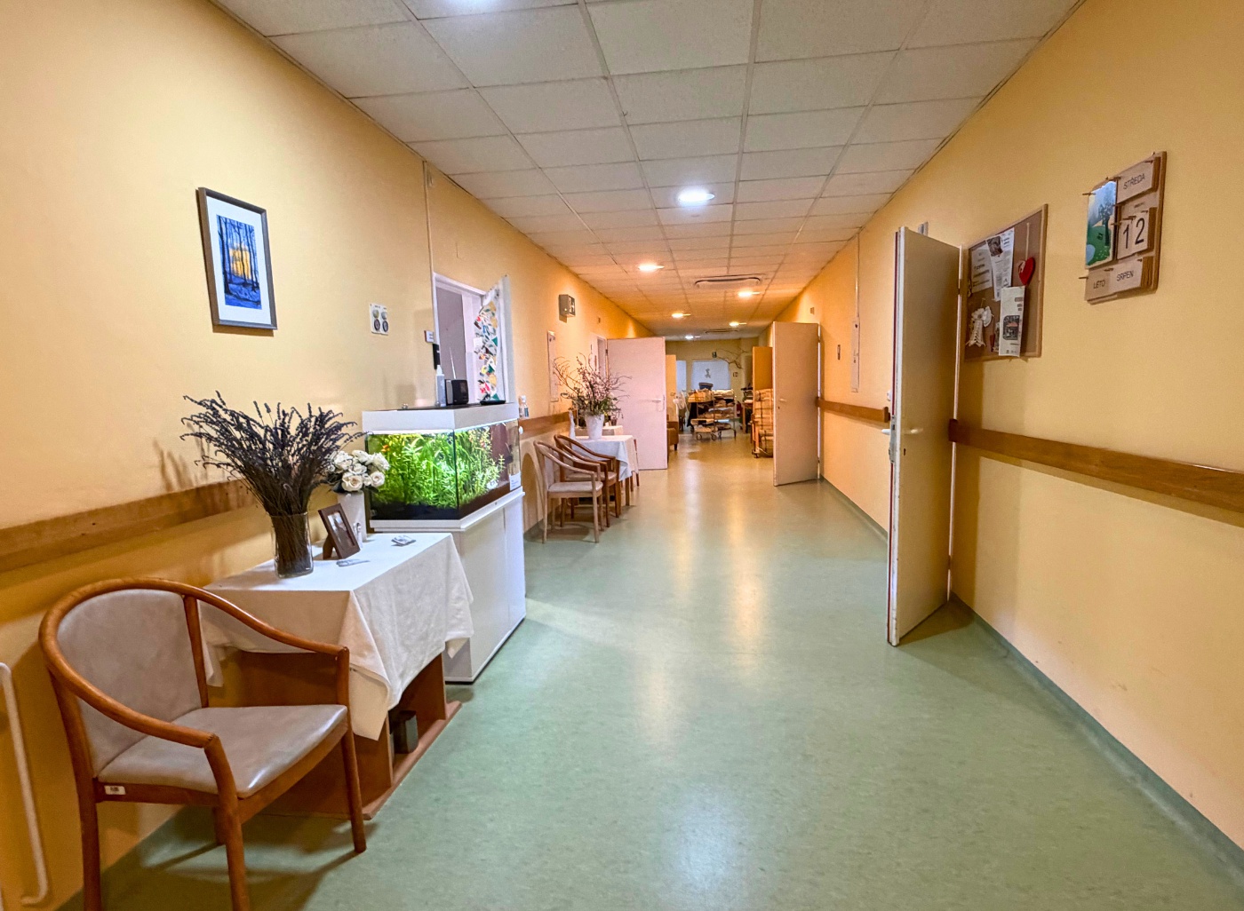 Dům léčby bolesti s hospicem sv. Josefa