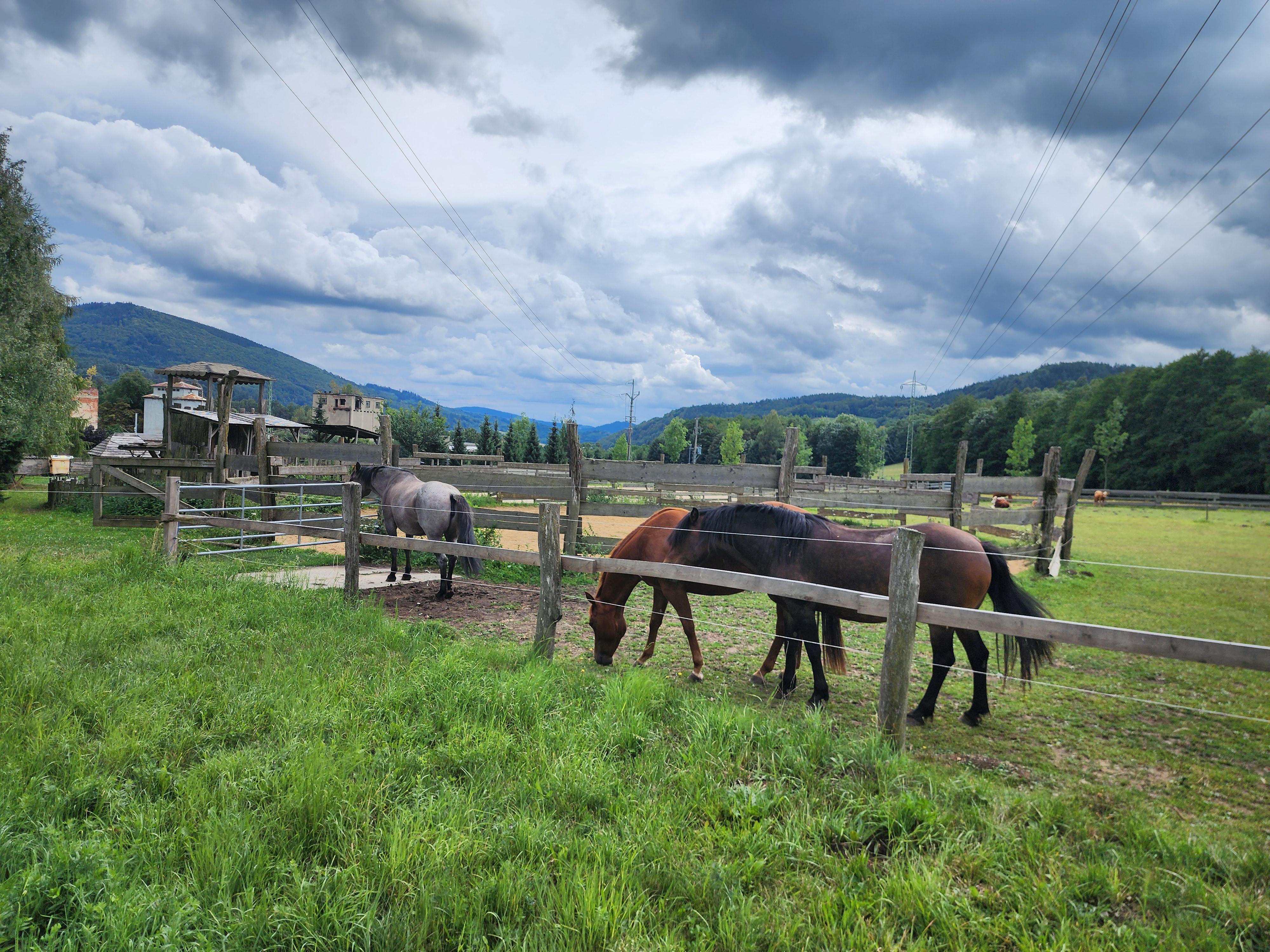 Ranč Mustang foto 3