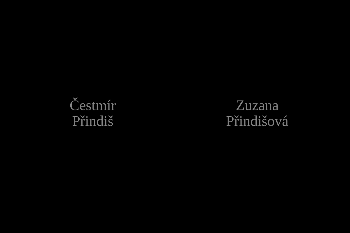 MgA. Čestmír Přindiš