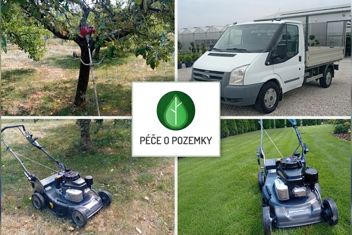 BezDžungle foto 1