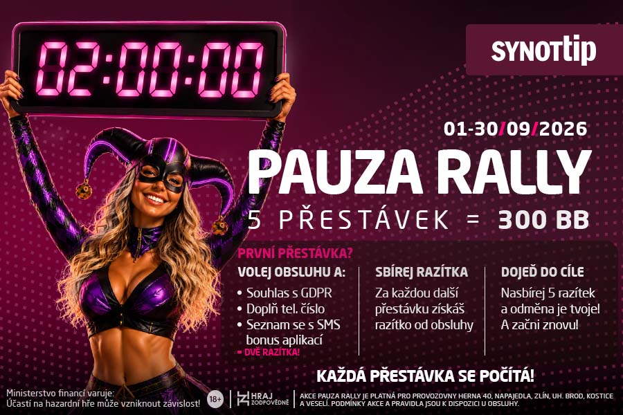 PAUZA RALLY