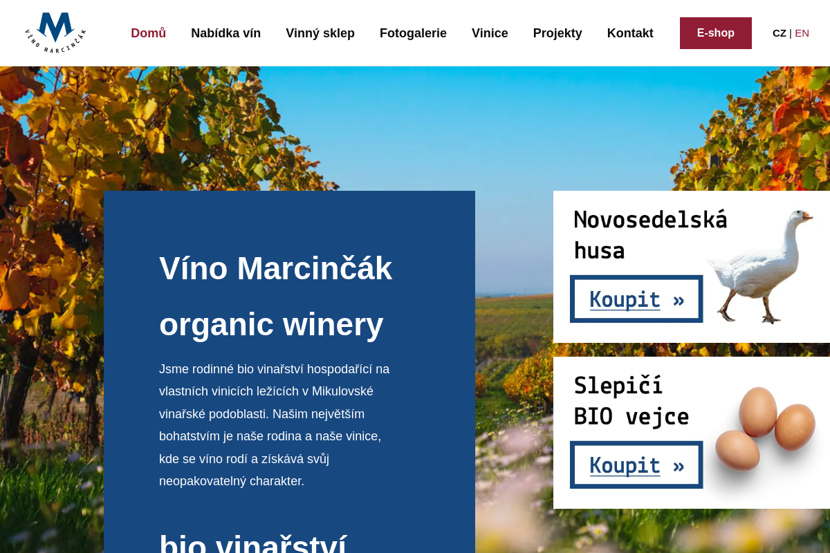 Marcincak.cz