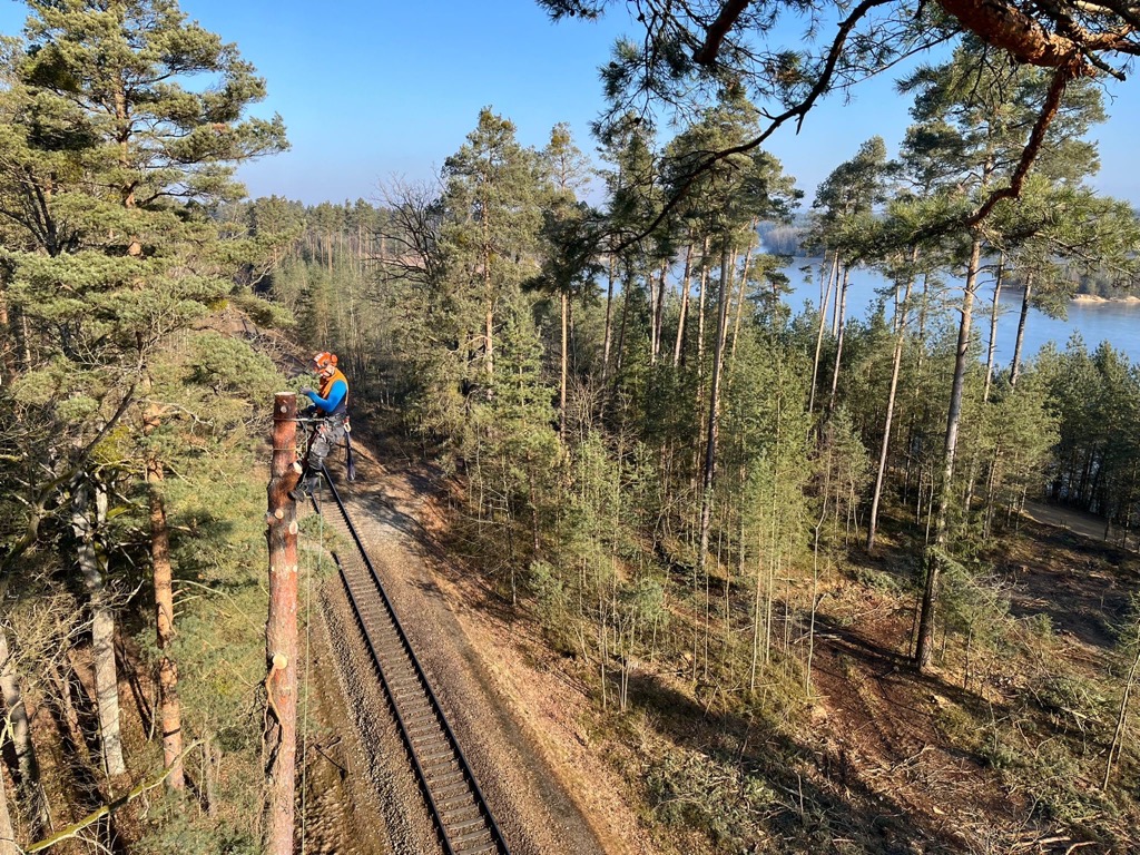 Rizikové kácení a stromolezecké práce - Michal Eppinger foto 3