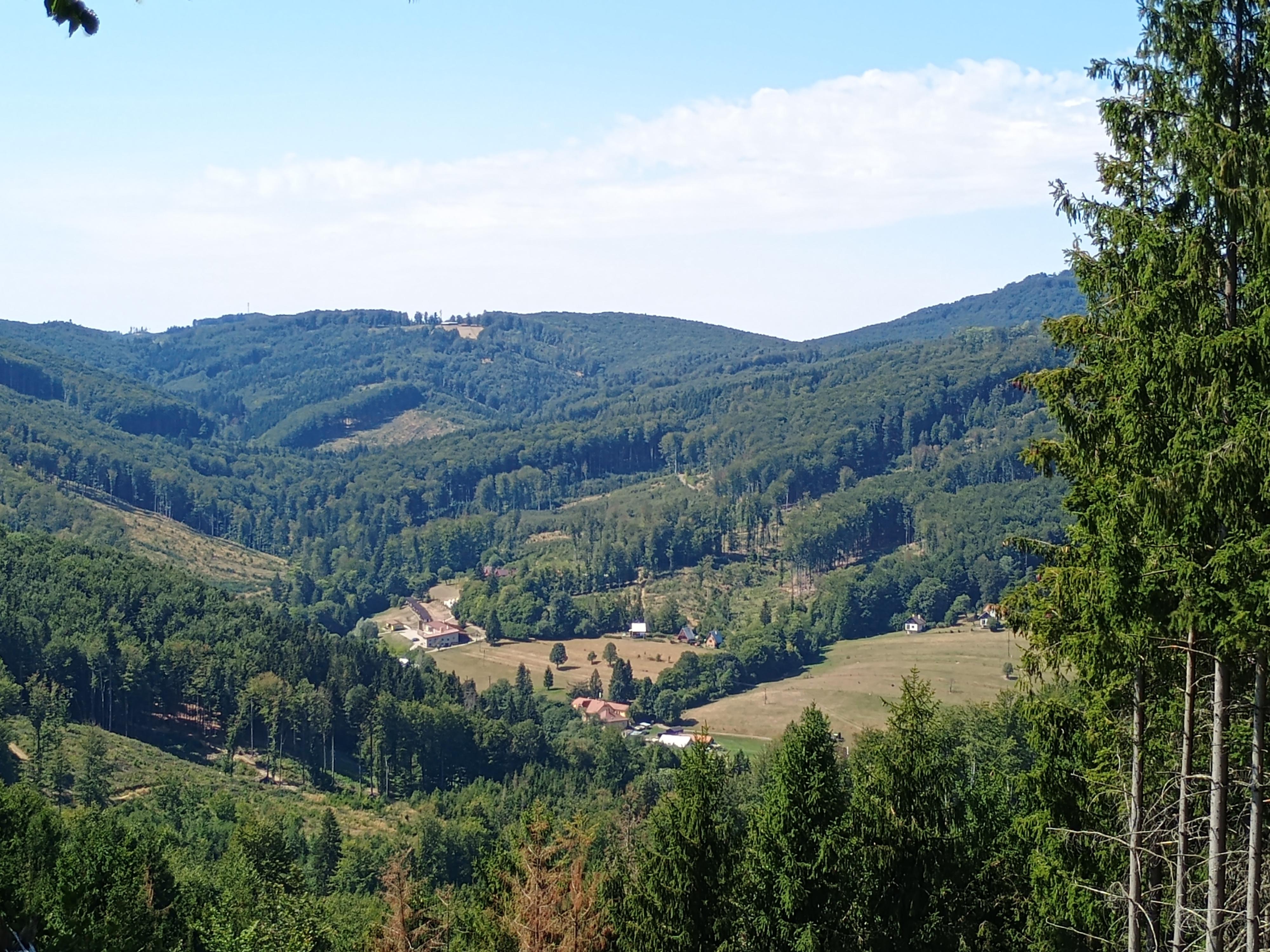 Sarkander, pobočka Archa foto 2