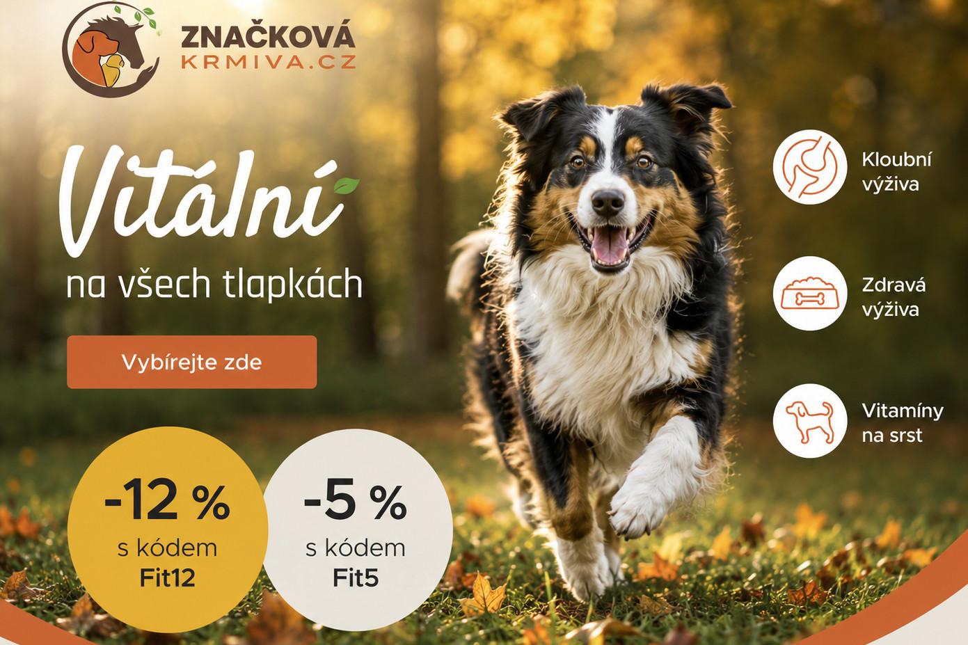 Podzimní podpora vitality psů