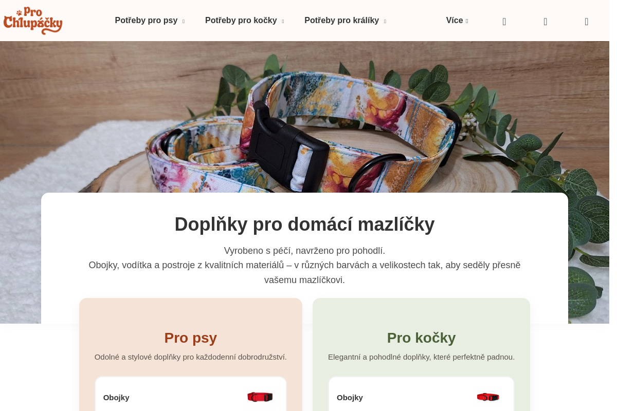 ProChlupáčky.cz