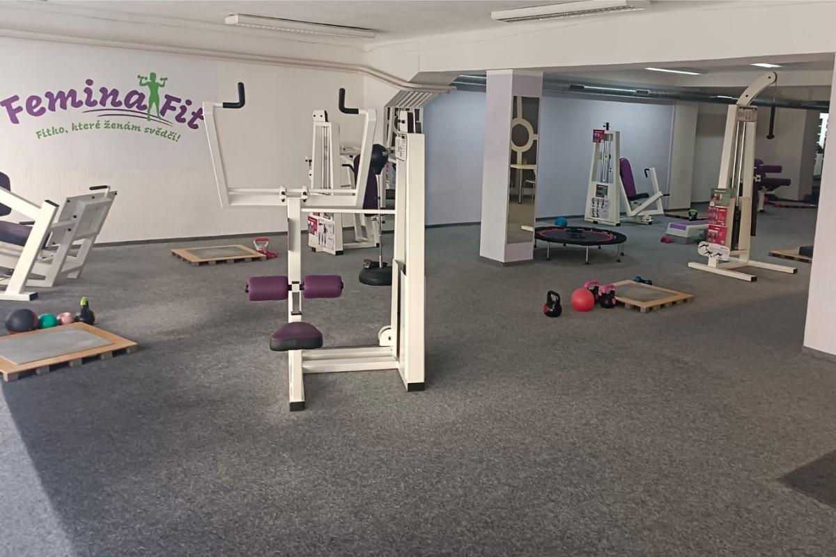 FeminaFit fitness pro ženy