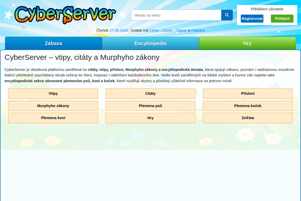 CyberServer