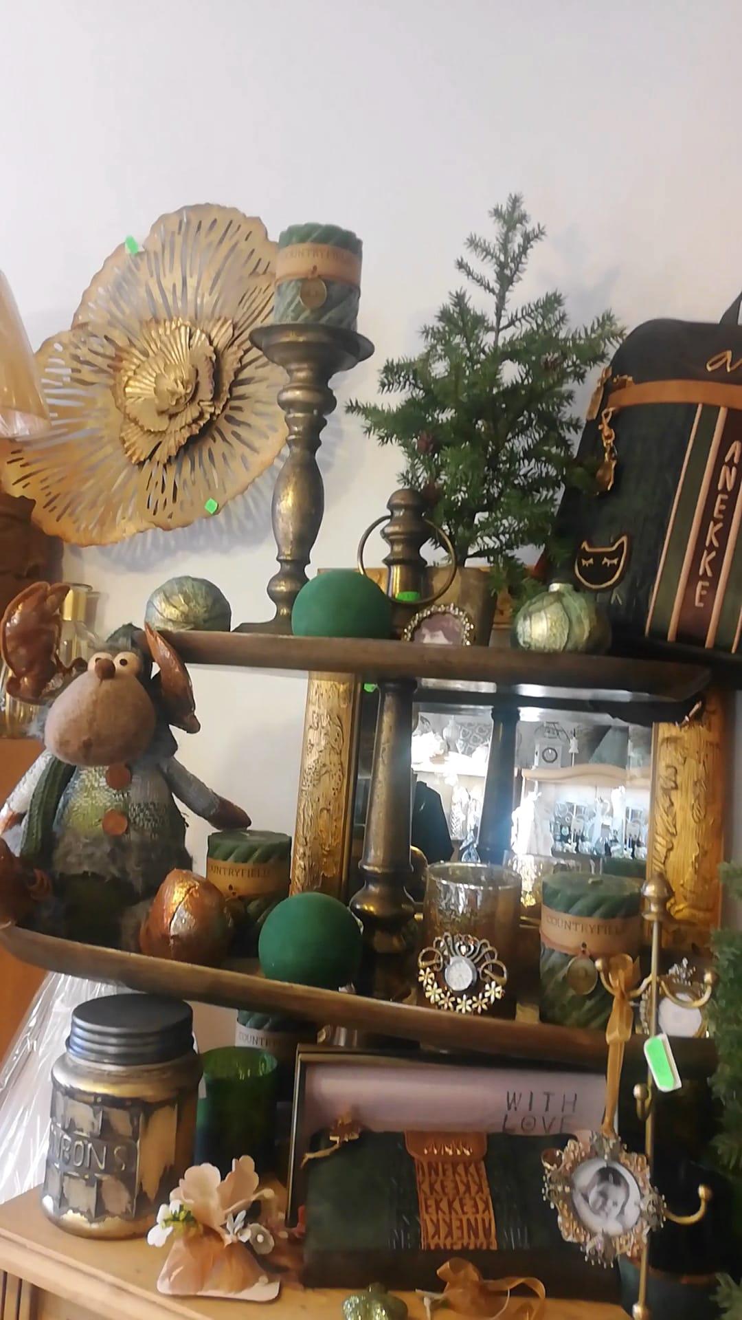 Kapradina foto 2